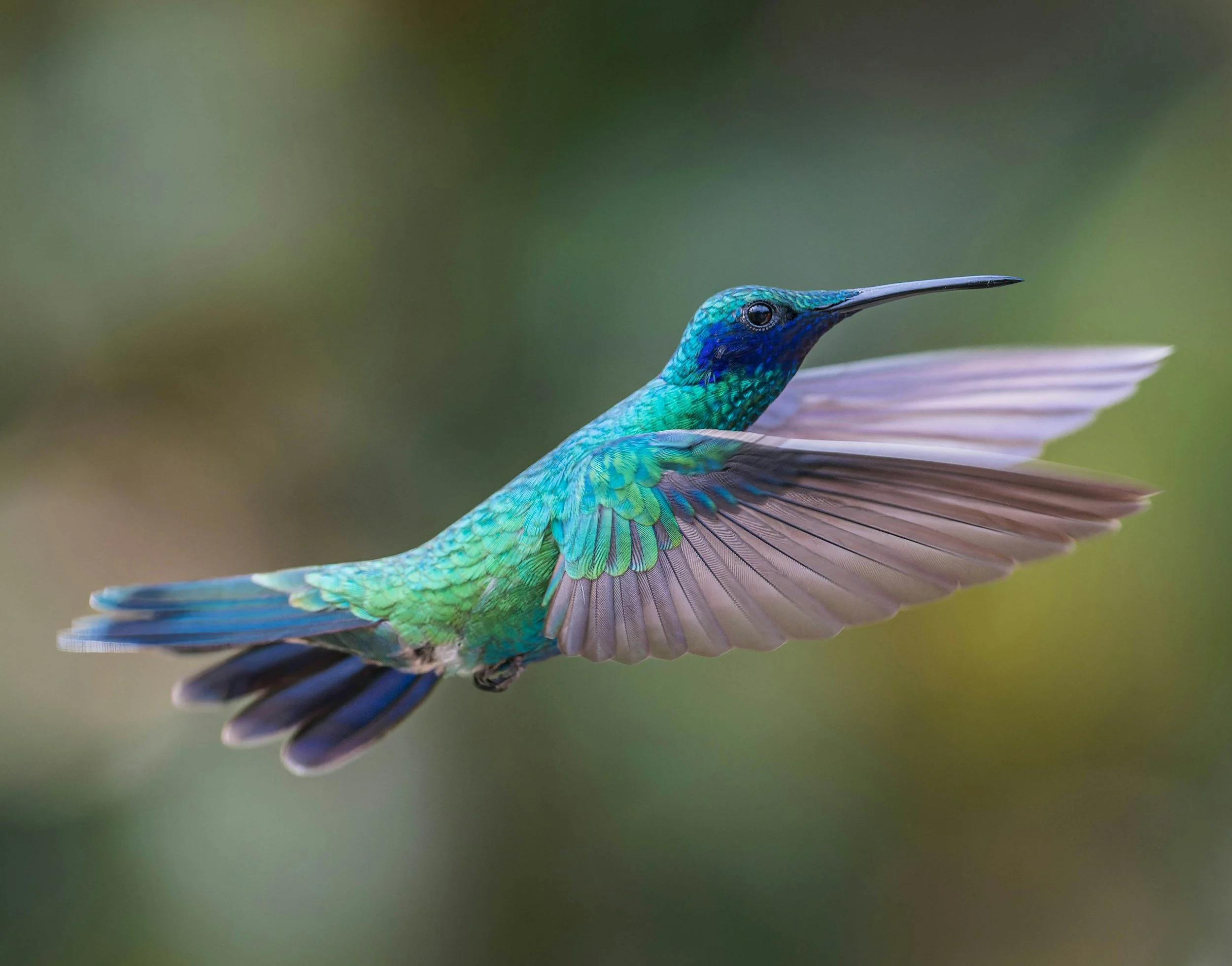 unsplash-image-NcIp_36qRJ8.jpg