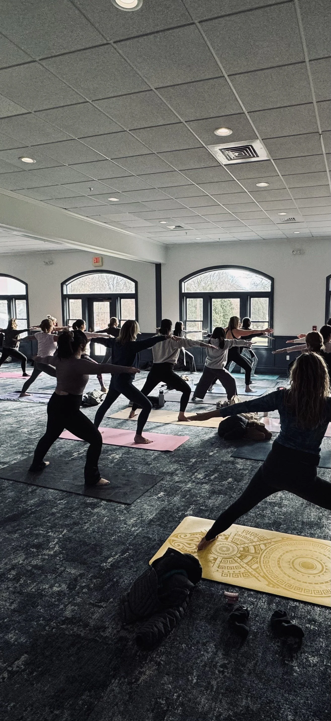 Monday Night Yoga Series w/ Cesca Yoga 