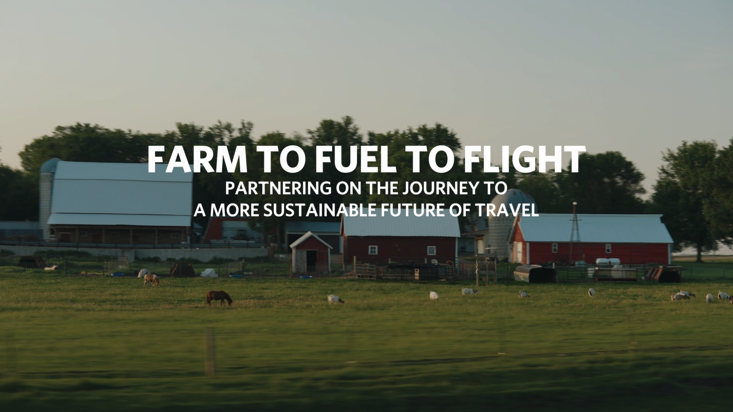 Farm to Fuel to Flight