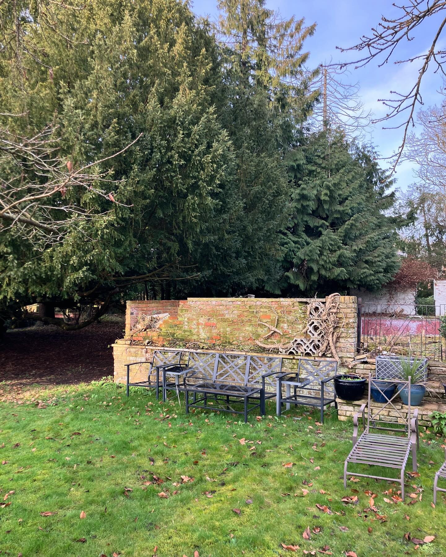 Cut backs for renovation of this pool, getting ready for summer.  #treecare #treepruning #buckstreecare #arboristlife #treesurgeon