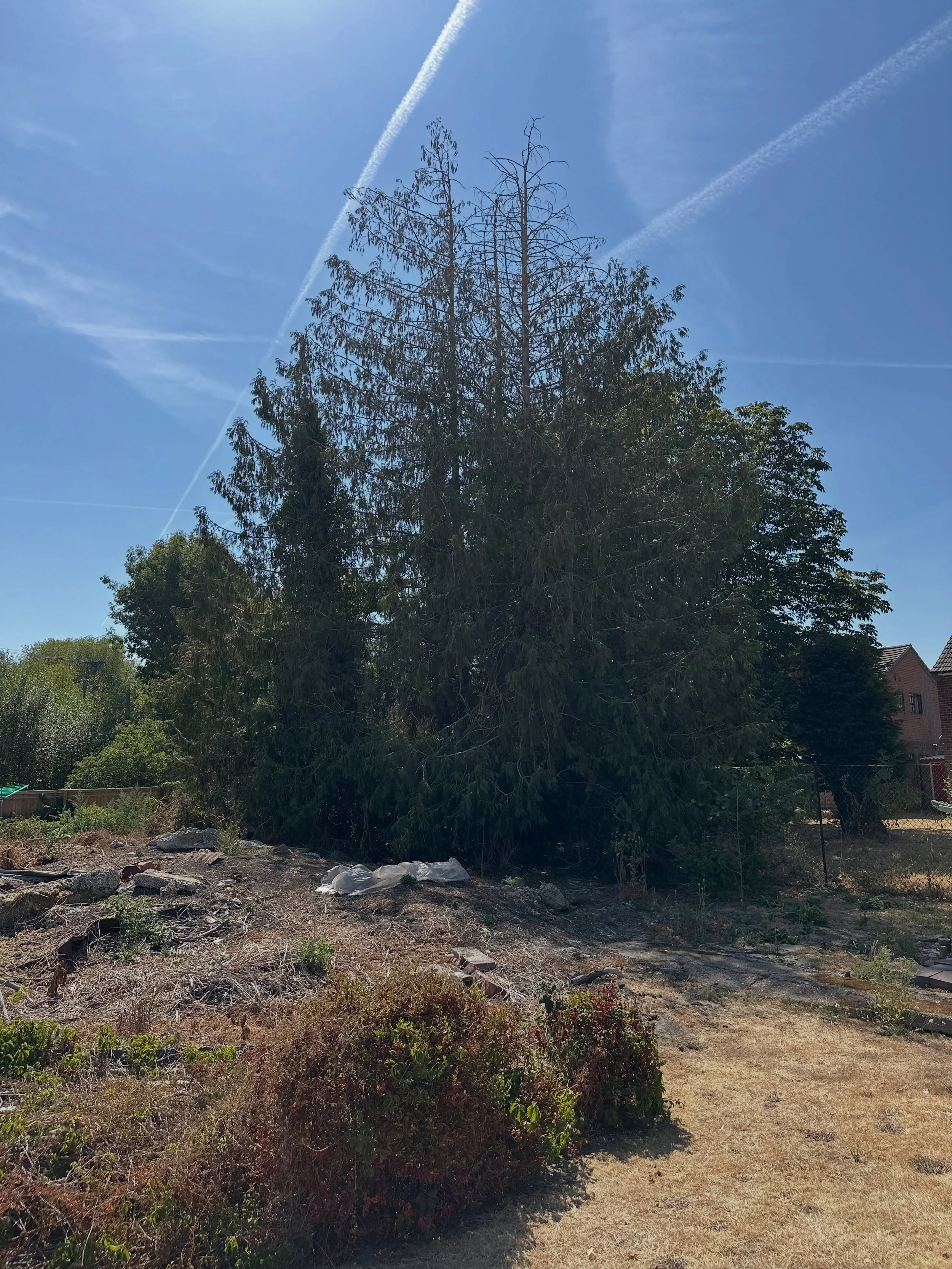 This area had become heavily overgrown and unmanageable, with our client also experiencing issues with fly-tipping onto their land.

We cleared back the overgrowth, opening up the area so a new video security system can be installed to help monitor t