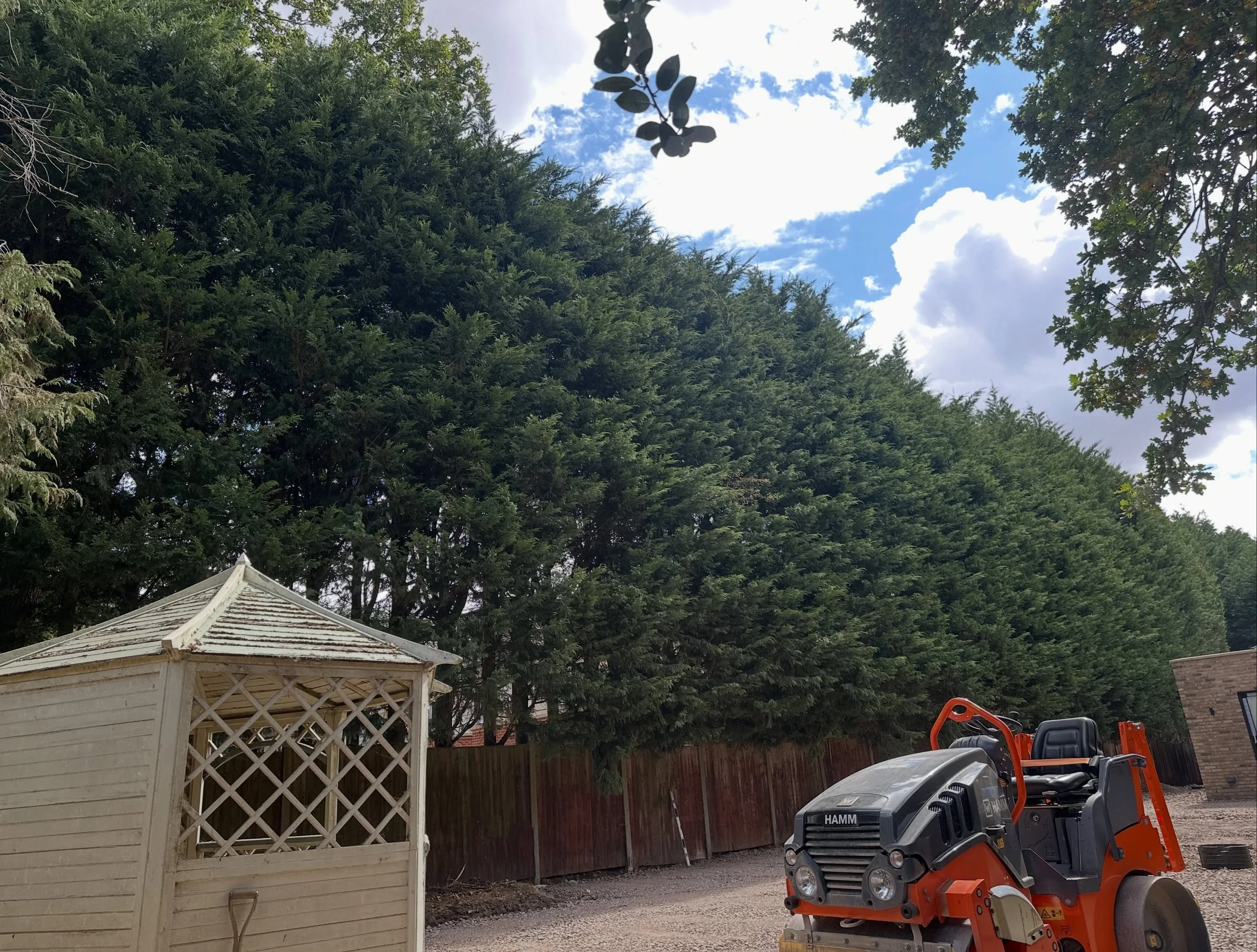 This large hedge needed a good trim and tidy-up ahead of the final phase of construction, getting the outdoor space looking neat and ready before our clients move into their new home.

#hedgetrimming🌿💇🏾&zwj;♀️ #treecare #hedgecare #gardenmaintenan