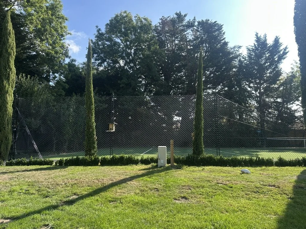 after sot of trees in new placement in garden