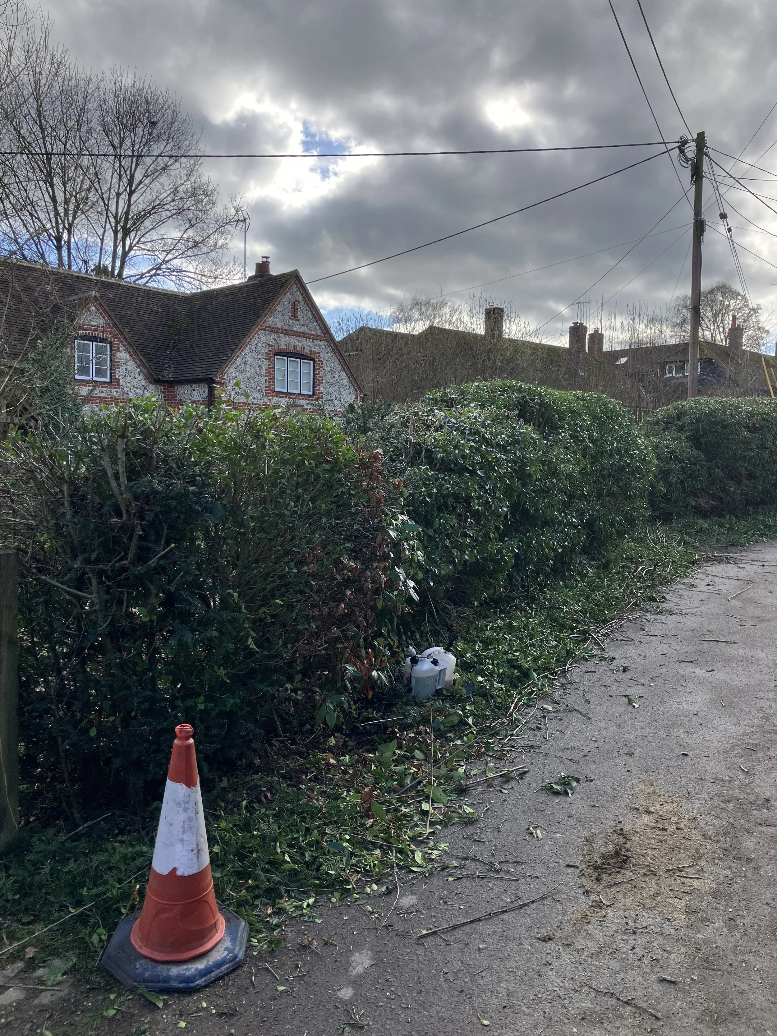 Professional hedge cutting service in Turville RG9 by Elementree Care