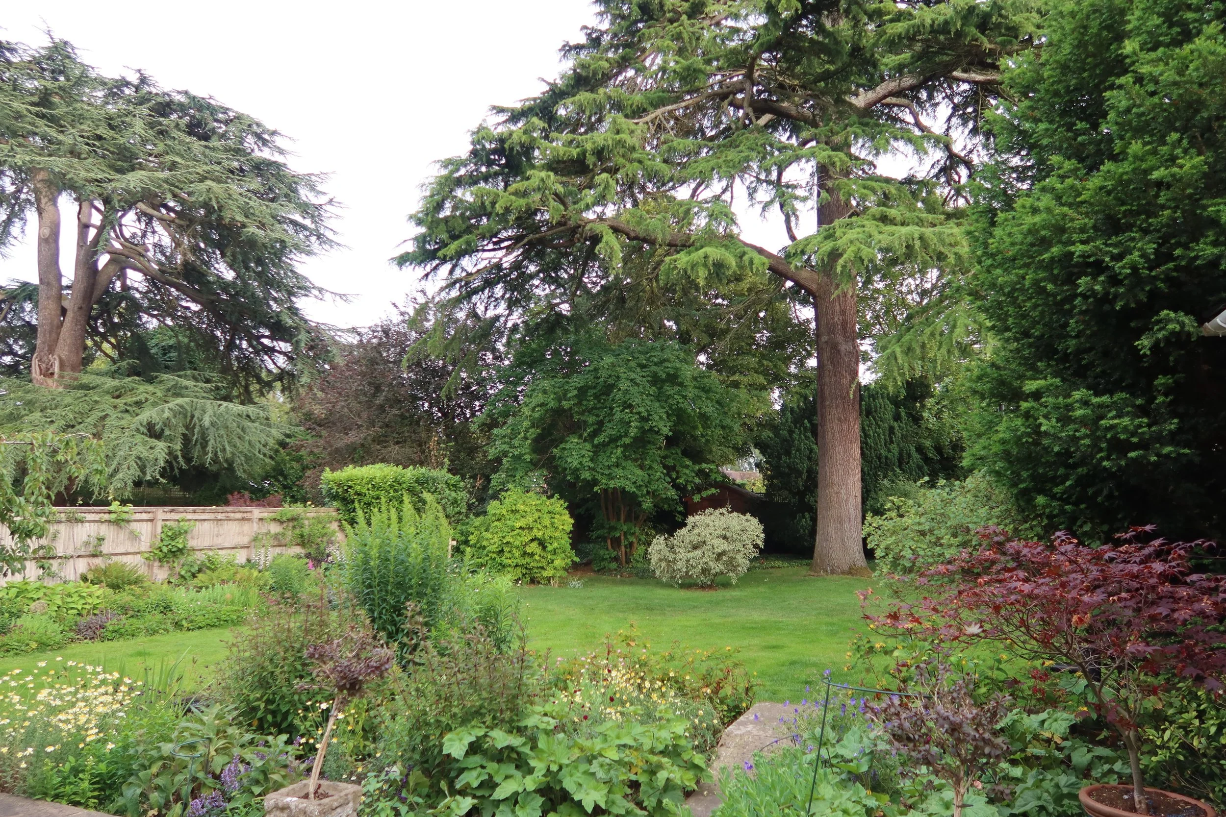 Garden maintenance in Cookham