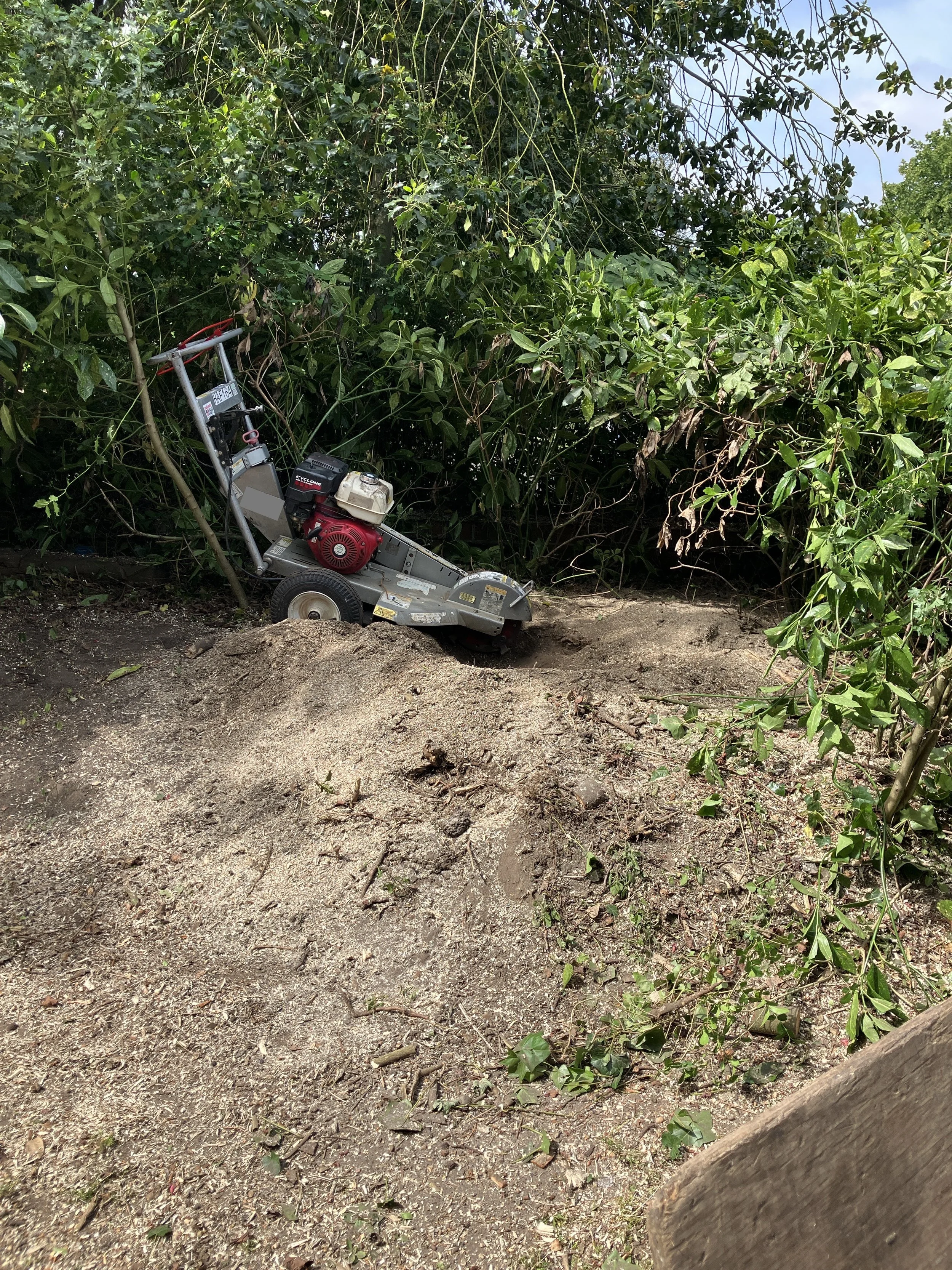 Professional stump removal and stump grinding service in Marlow Buckinghamshire by Elementree Care