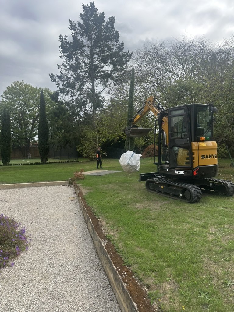 team moving tree to new location