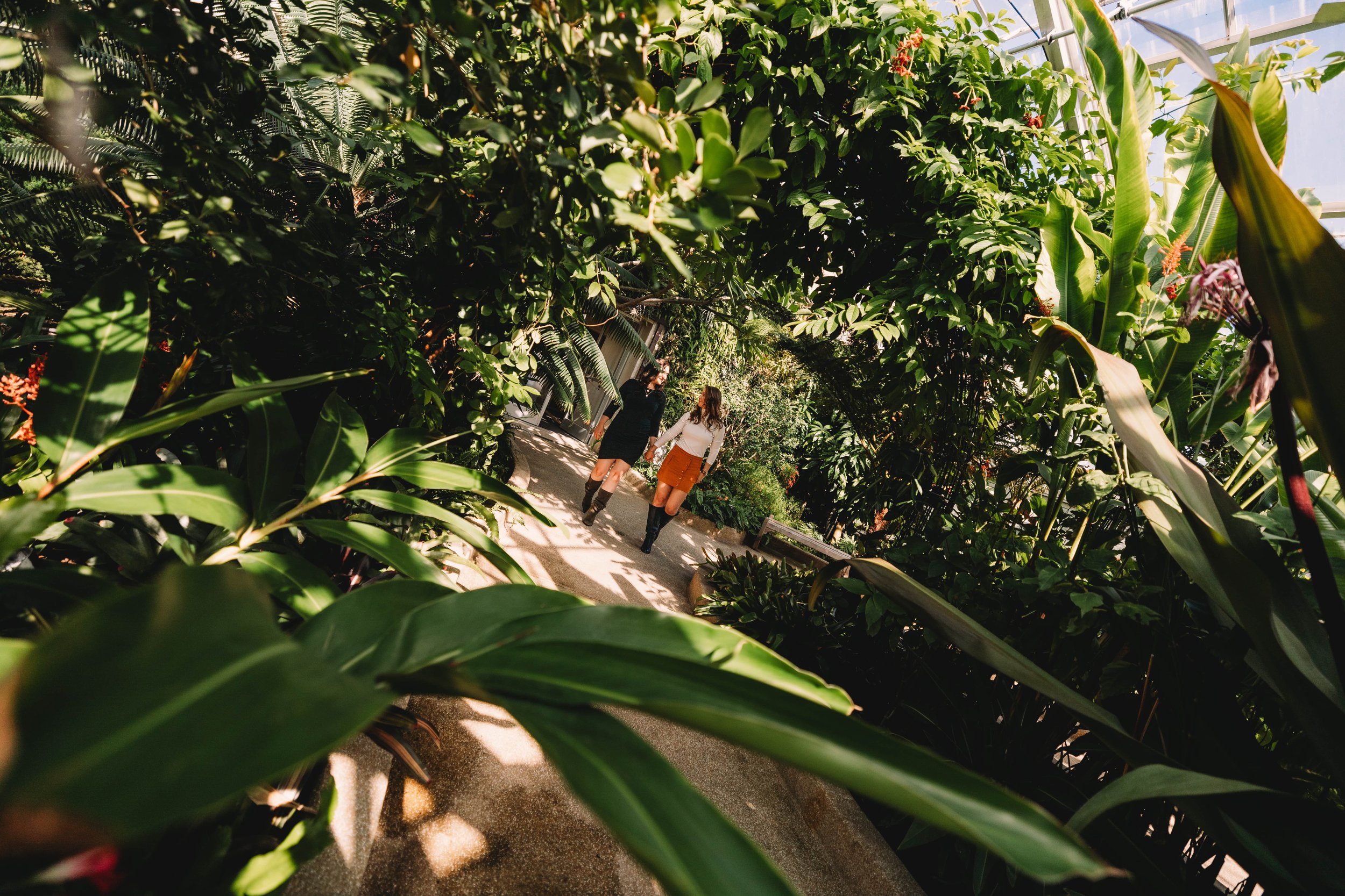 New Jersey LGBT engagement photography same sex couple walking along a path in a lush greenhouse, surrounded by various green plants and foliage.