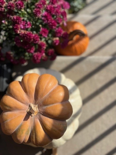 A group of pumpkins in various shades of orange and white, with purple flowers in the background on a wooden deck.