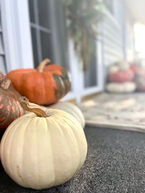 Close-up of pumpkins on a doorstep, with a porch and plants in the background.