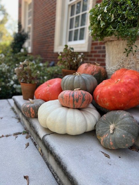 A variety of pumpkins and gourds displayed on a porch ledge with potted plants and a brick house in the background.