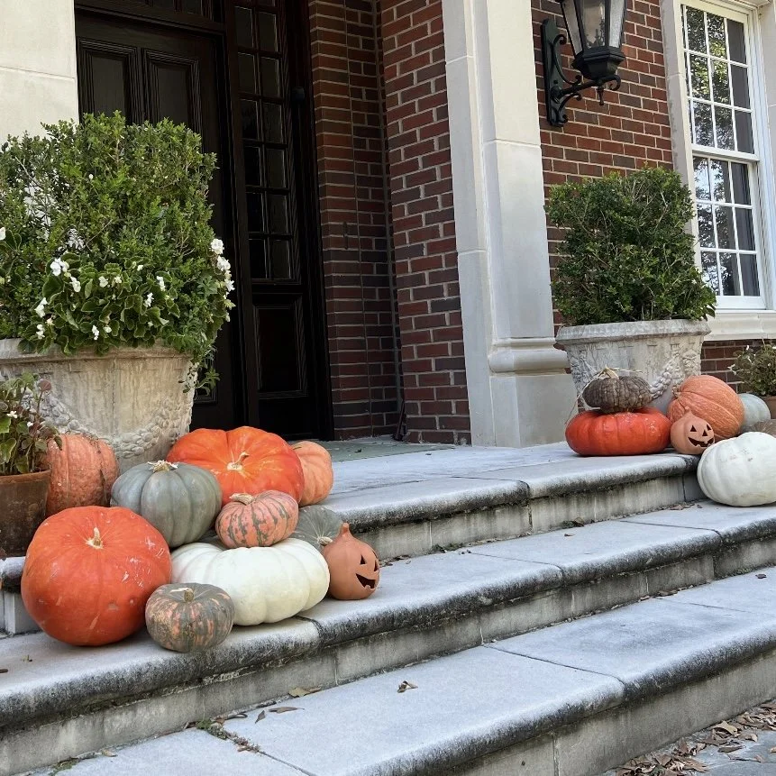 Front porch decorated with pumpkins, gourds, and potted plants for fall or Halloween.