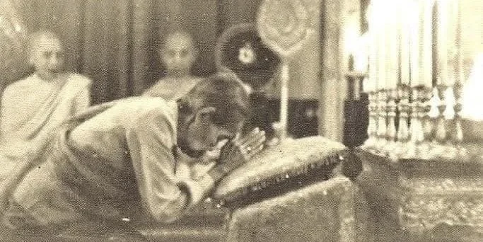 Old Aged Queen17.jpg