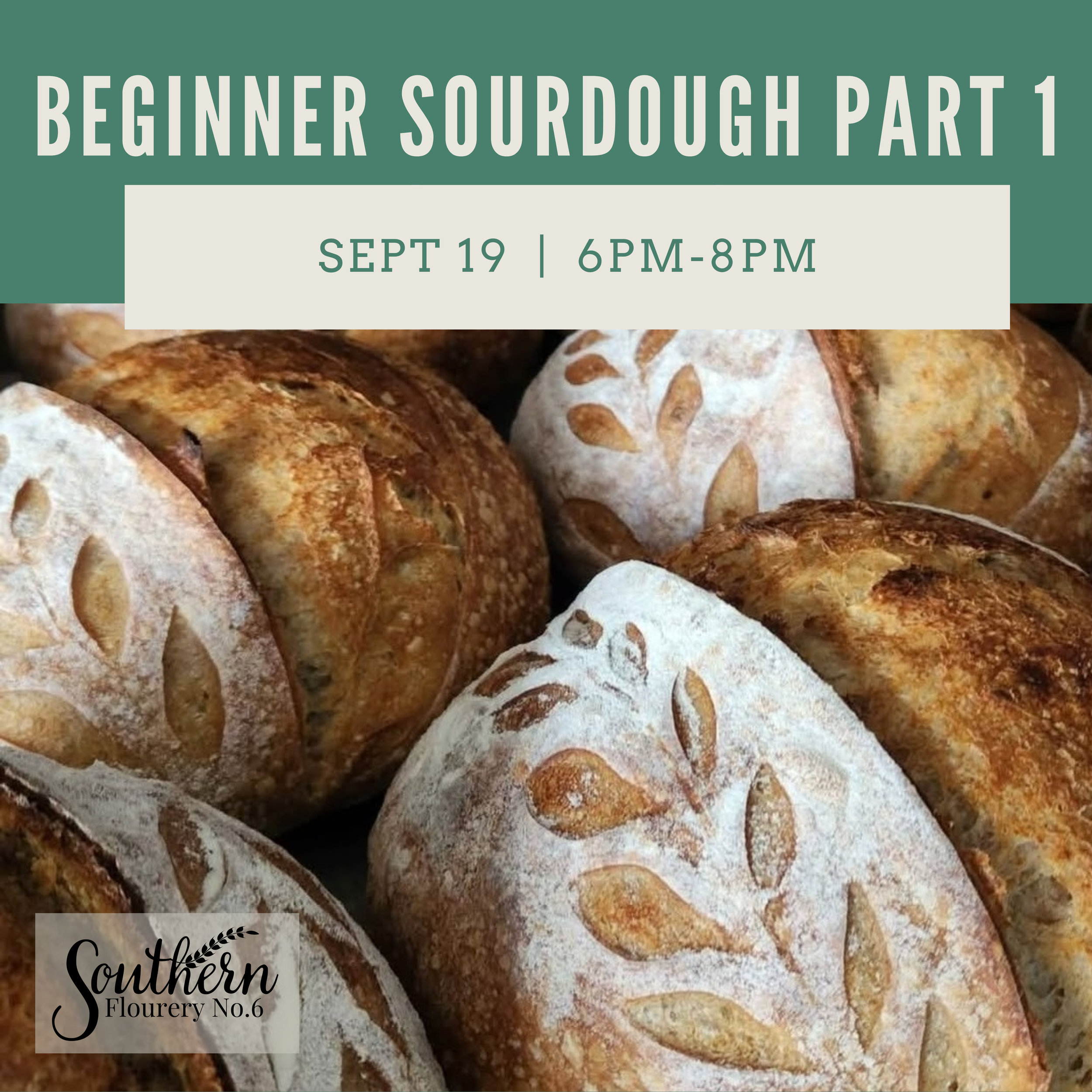 Beginner Sourdough Part 1: