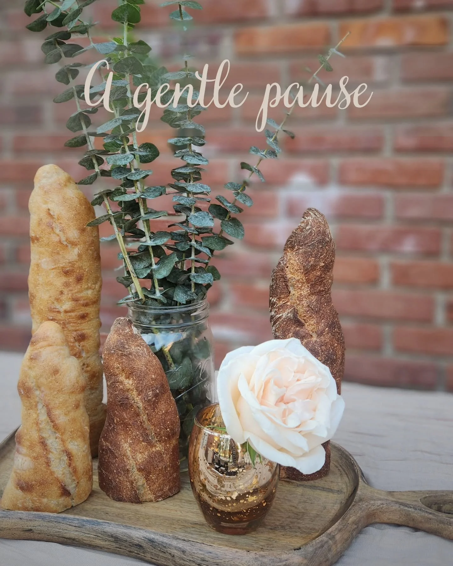 Friends 🤍
This is a tender one to share. 
After a lot of reflection and listening to my heart, I&rsquo;ve decided to step away from bread production for this season.

Southern Flourery No. 6 has been such a meaningful chapter of my life. 
So many of