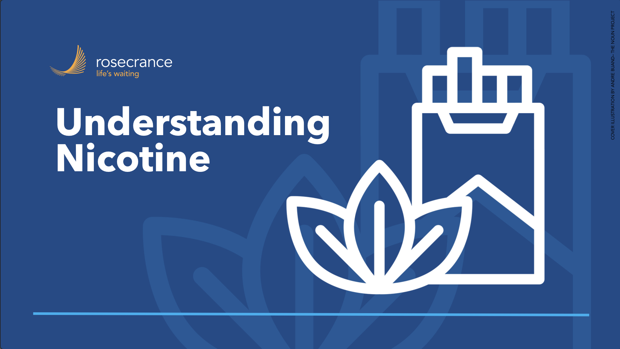 Screenshot 2024-09-17 at 9.41.03 PM.png