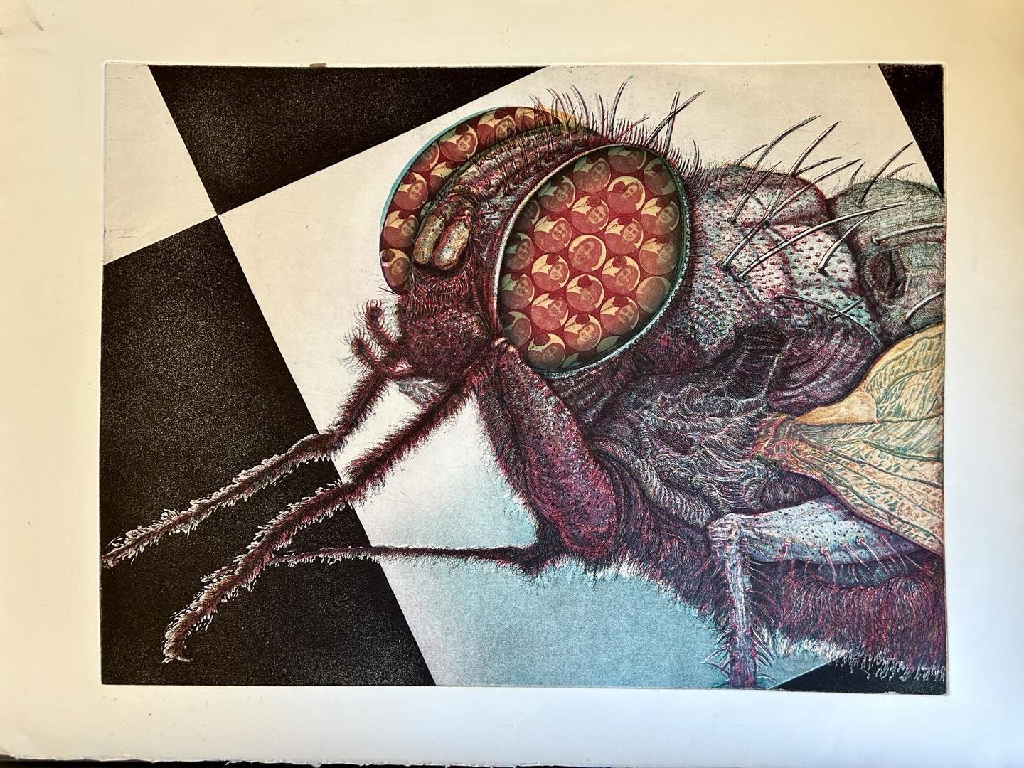 SOLD -In a Flys Eye