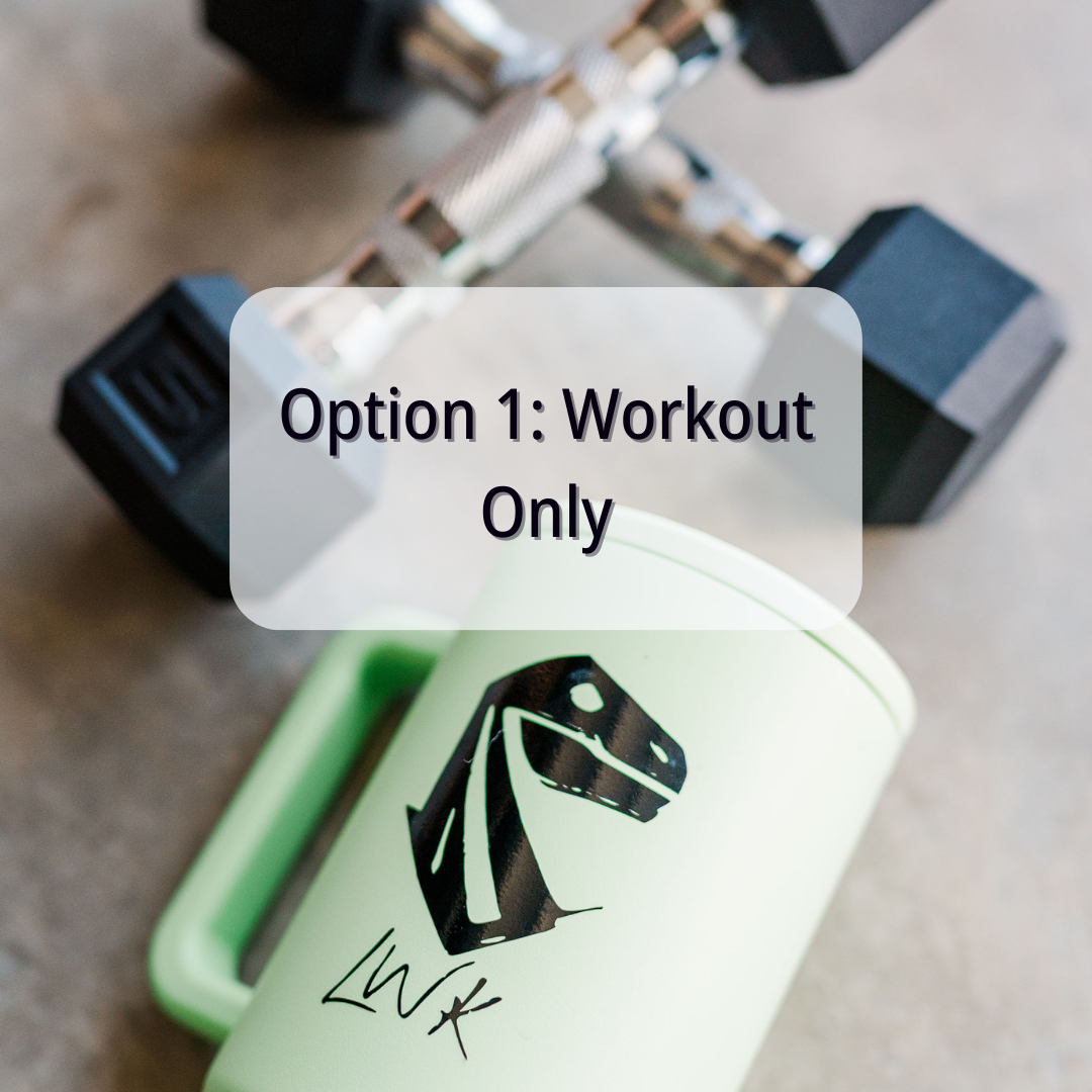 Pedal to the Metal - Workout ONLY Option