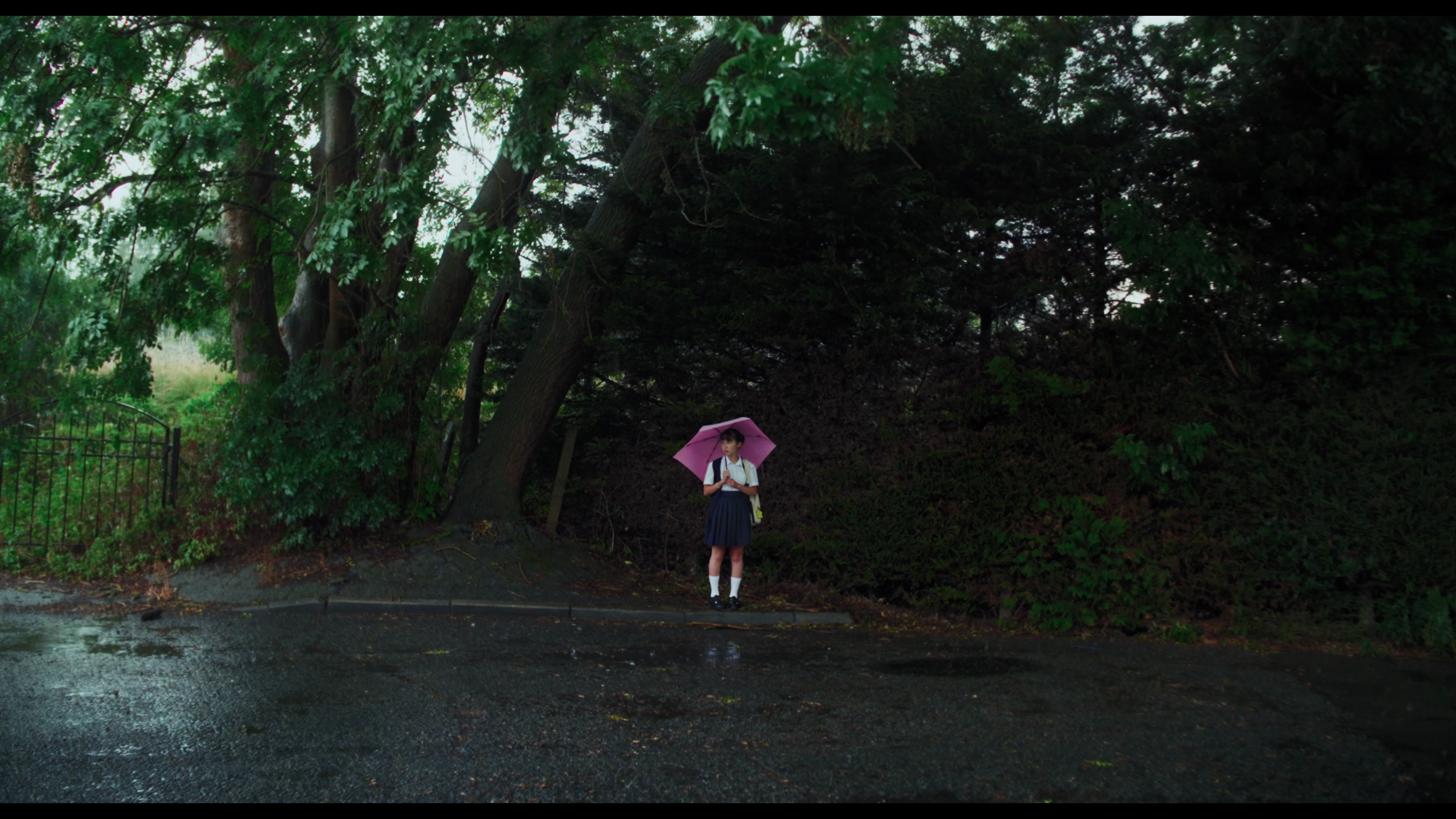 vlcsnap-2026-09-05-23h26m11s584.png