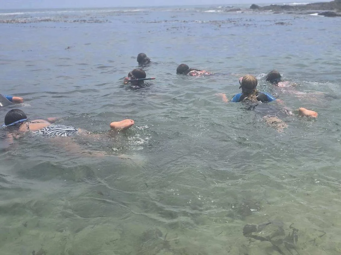 🐠 Explore under the surface!
Day 2 (July 15) is all about marine biology and adventure:
✔️ Tide pool exploration
✔️ Guided snorkeling
✔️ Hands-on ocean science
✔️ Safe &amp; fun coastal discovery

📍 Laguna Beach | Ages 6&ndash;14
🎟️ $150 day rate 
