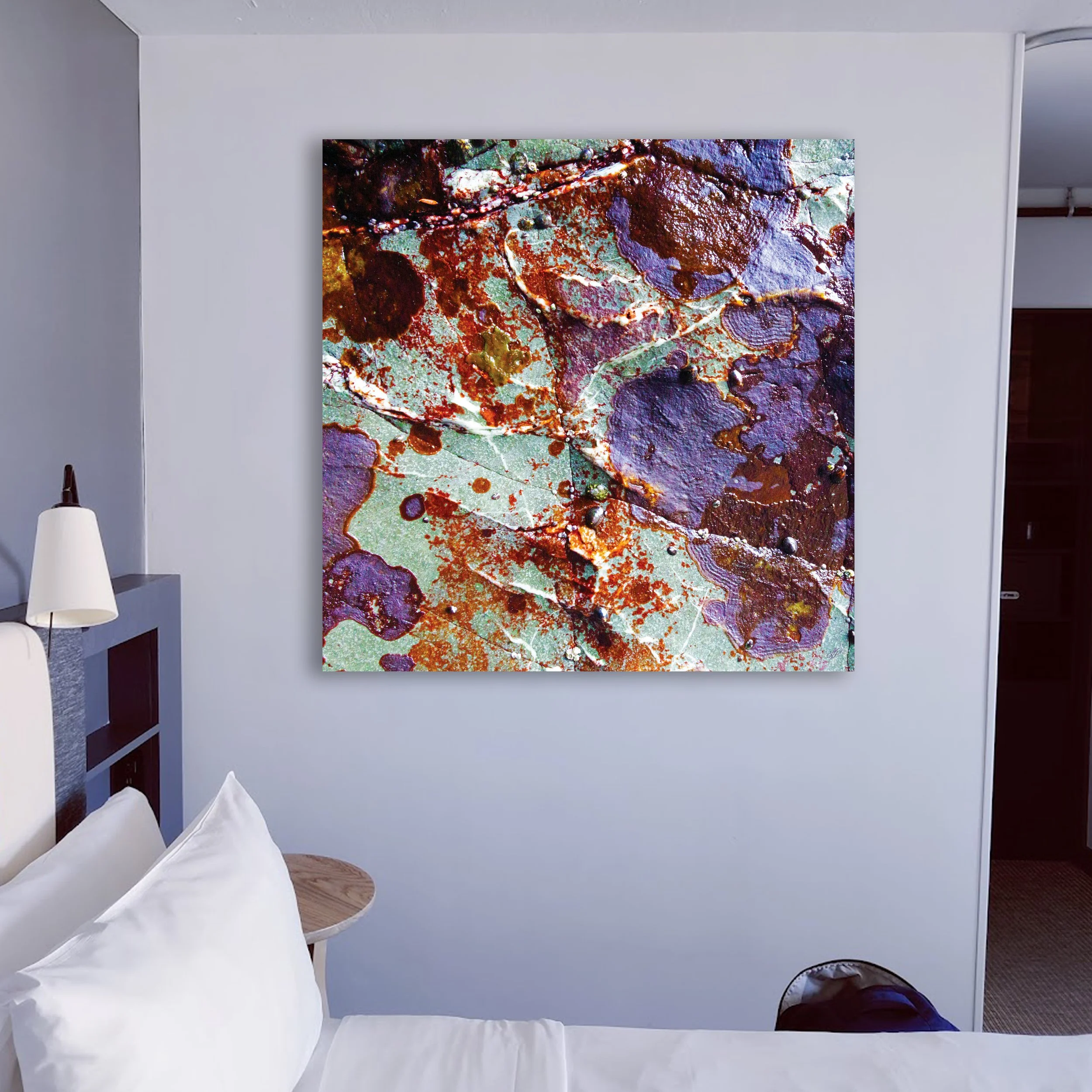 Exuberance I Photograph I 2024