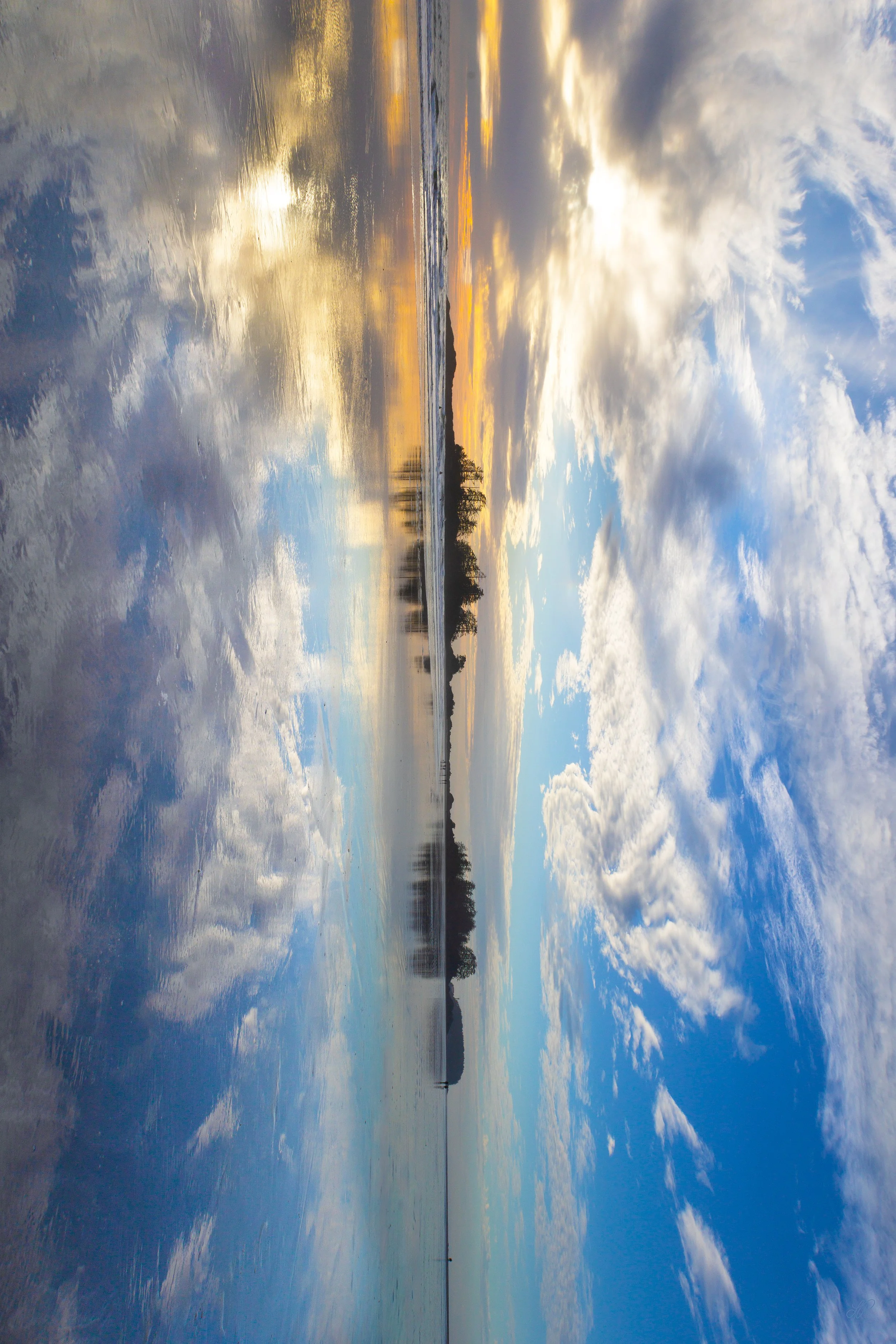 Plume  I  Photograph  I  2025