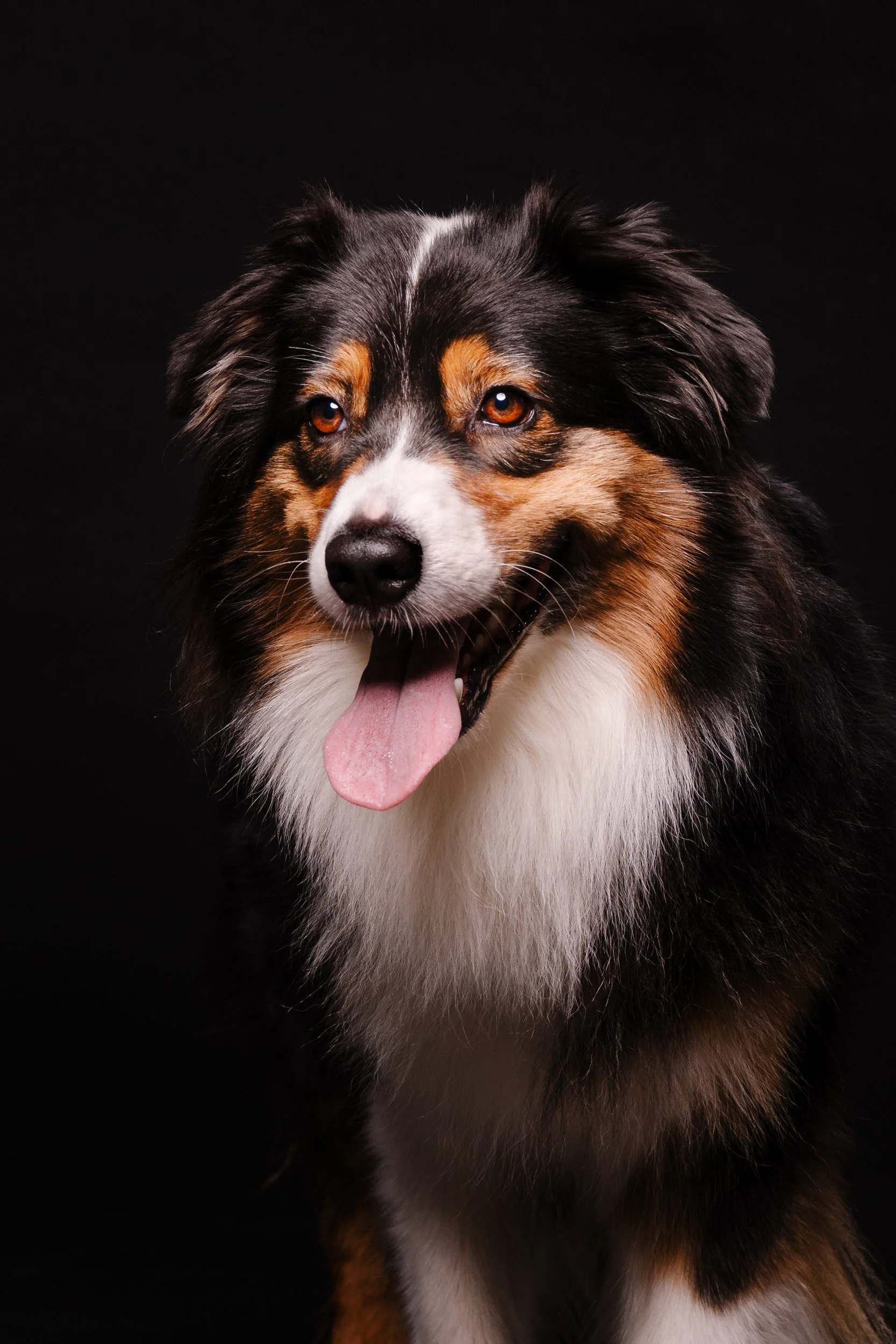 260331_Dizzy Milo_015.jpg