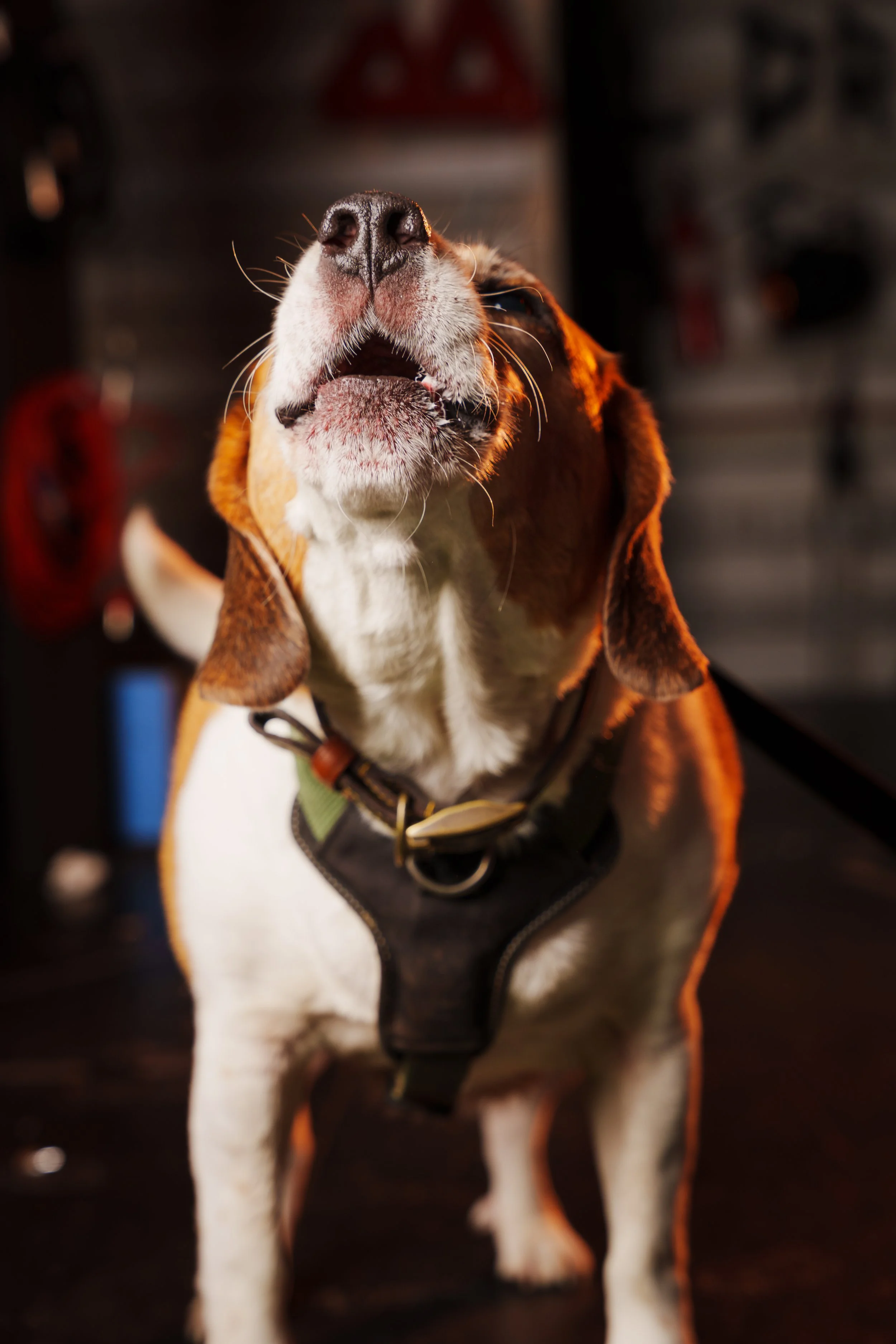 260101_Mark Holland Photography_181.jpg