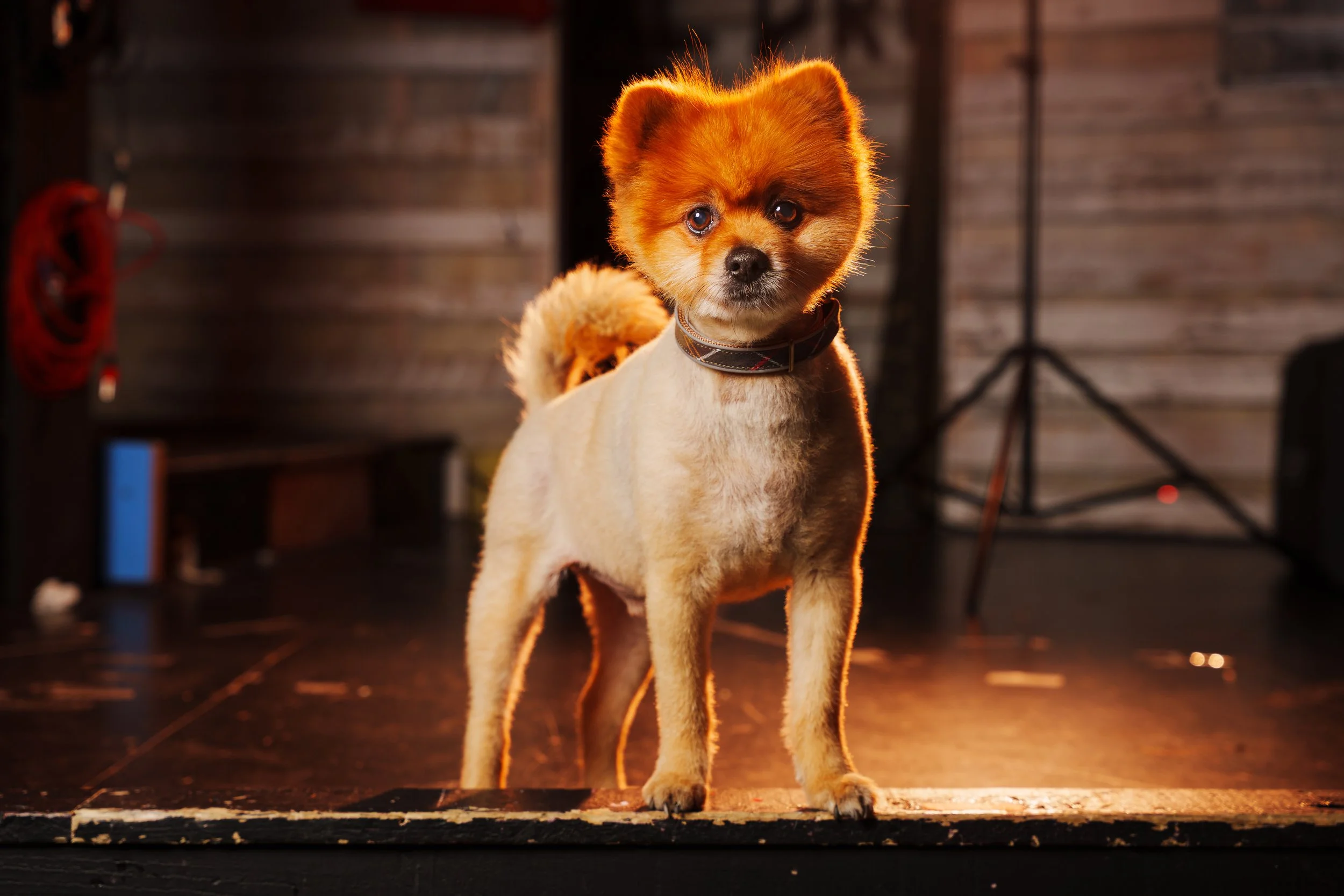 260101_Mark Holland Photography_426.jpg