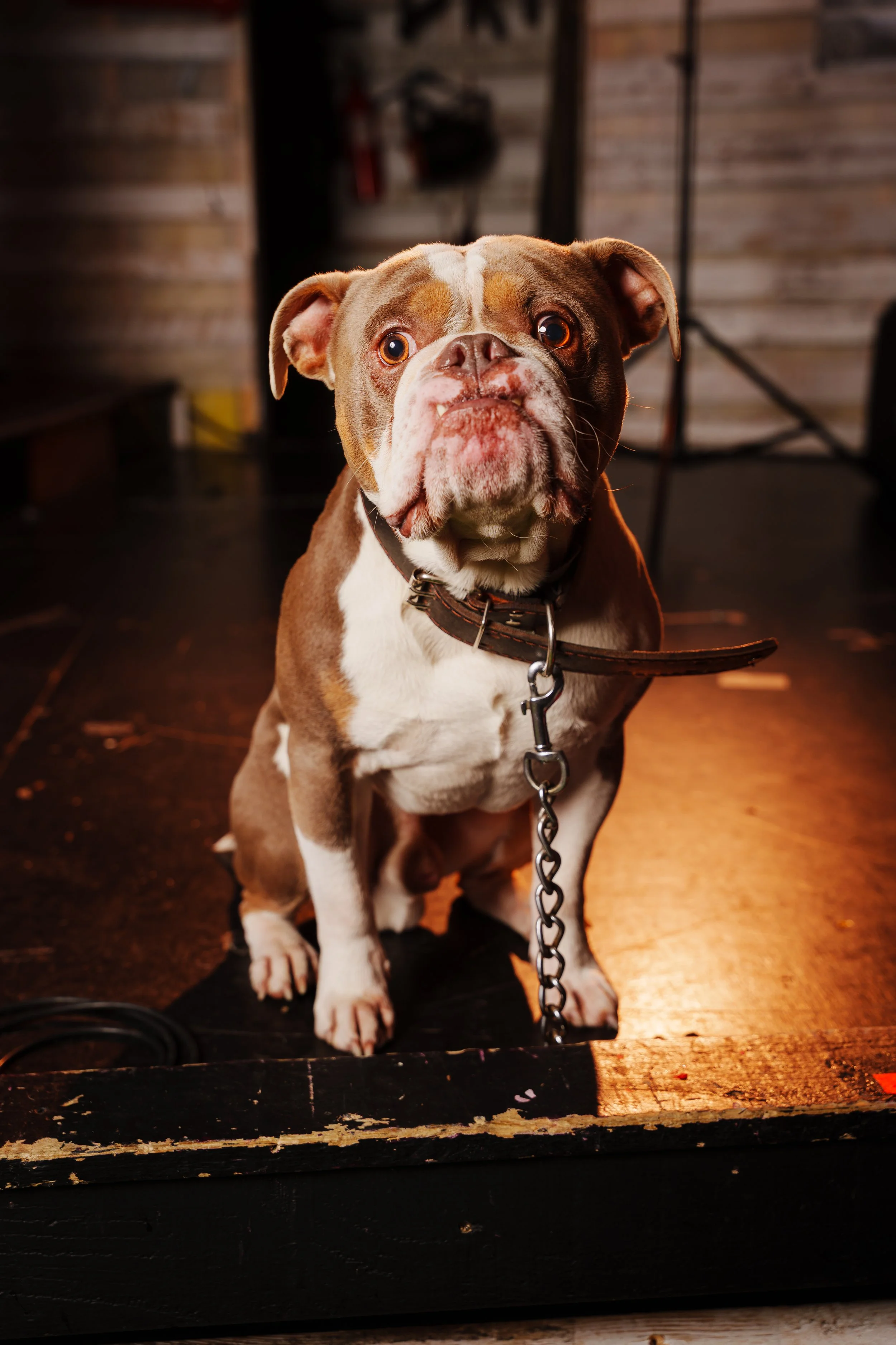 260101_Mark Holland Photography_327.jpg