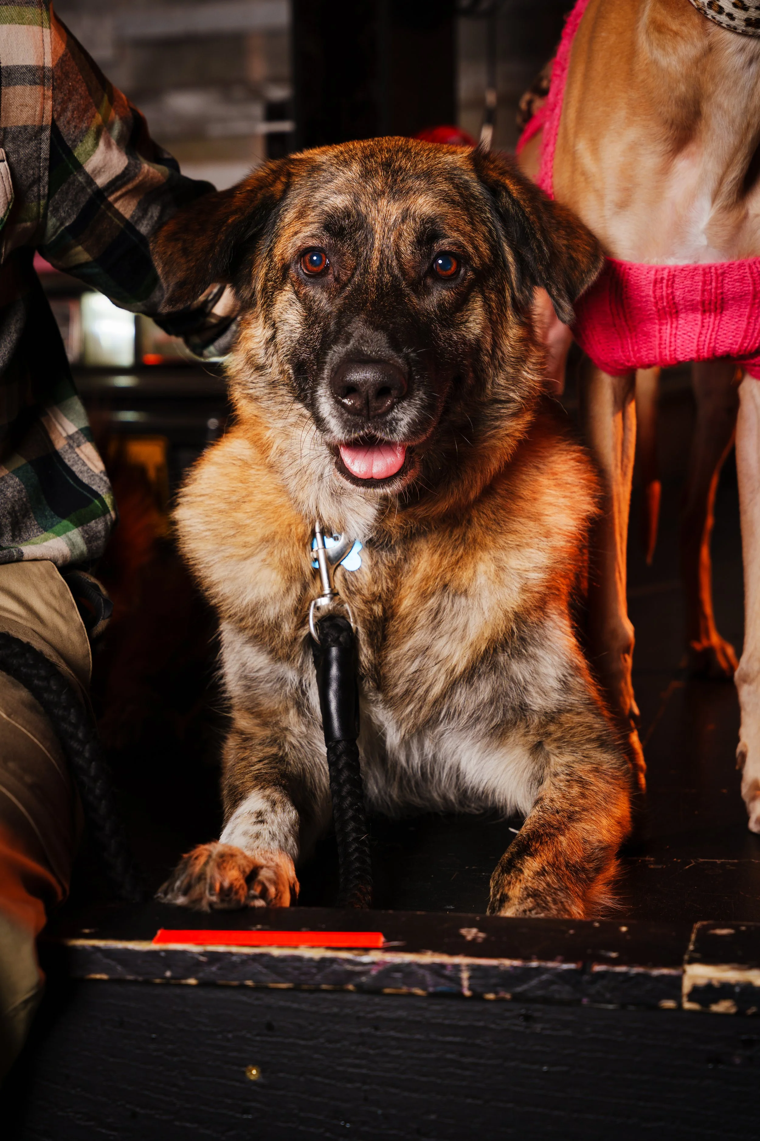 260101_Mark Holland Photography_049.jpg