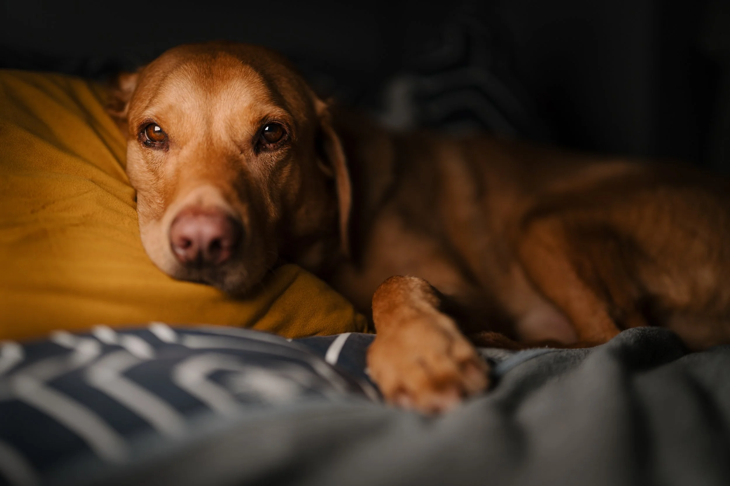 260223_LEDP260C Test_009.jpg