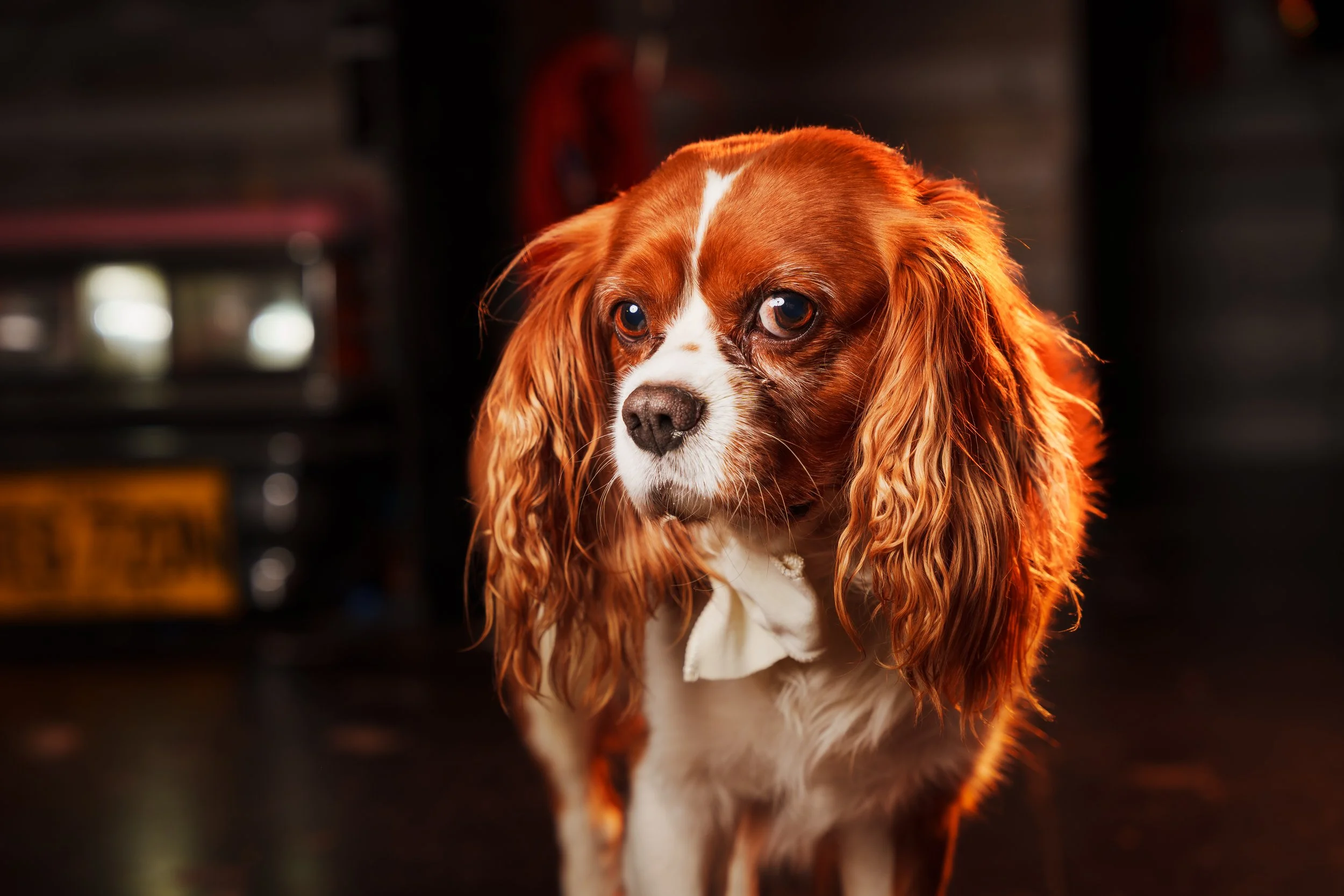 260101_Mark Holland Photography_353.jpg