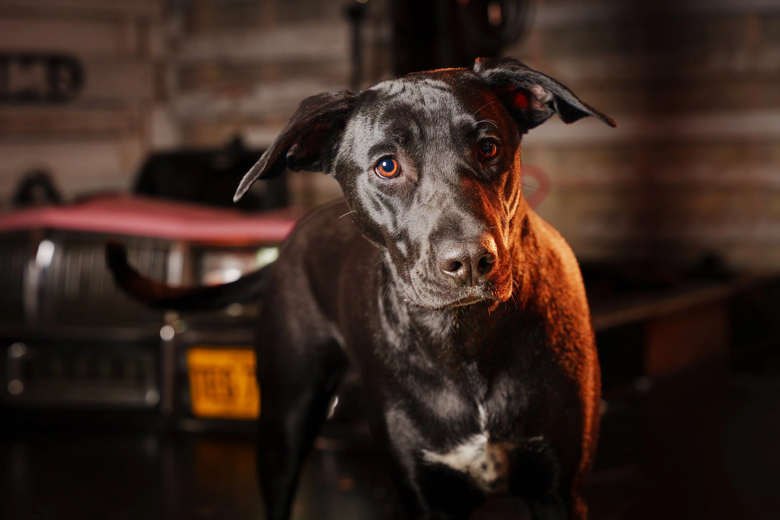 260101_Mark Holland Photography_022.jpg