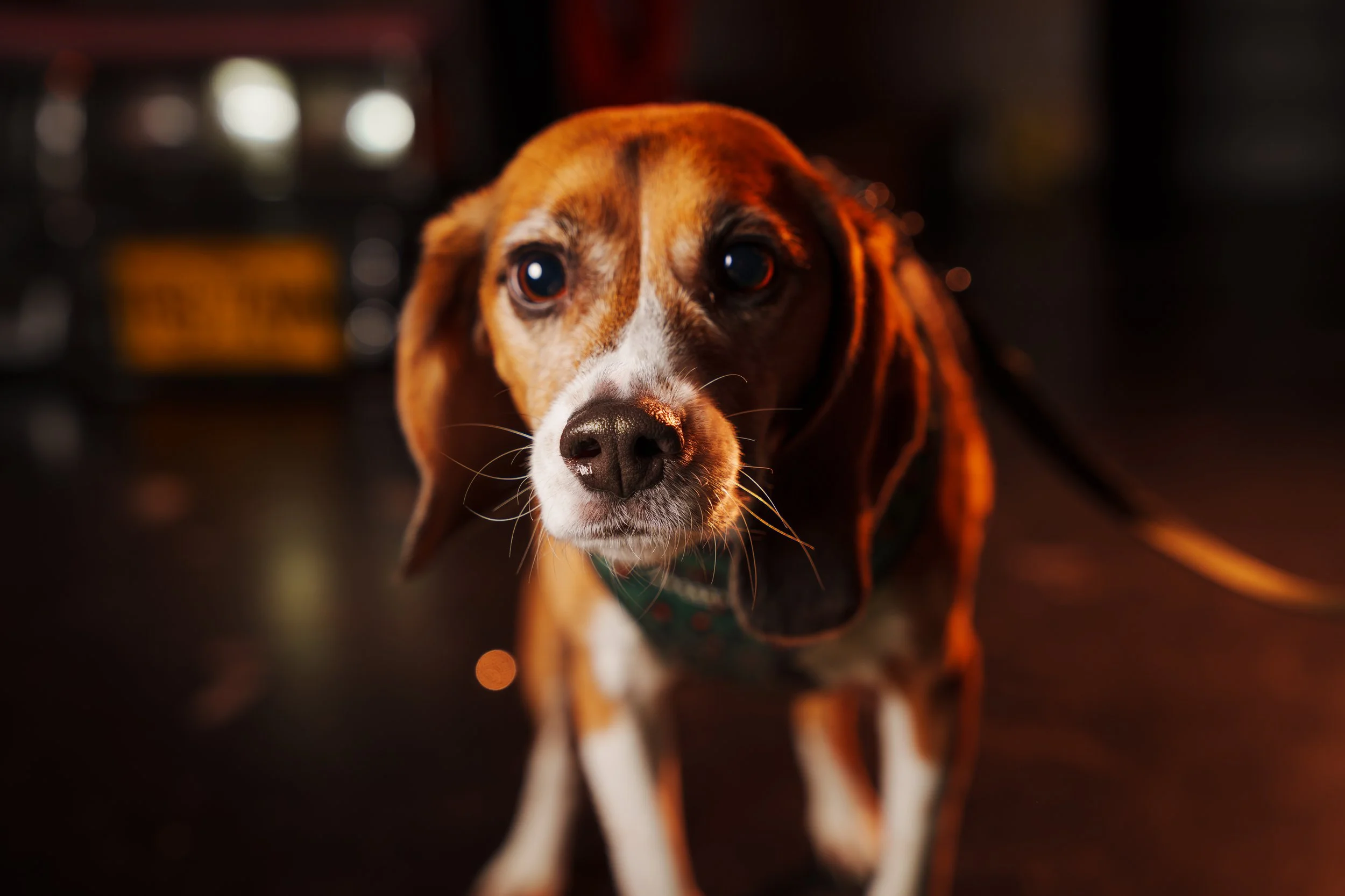 260101_Mark Holland Photography_255.jpg