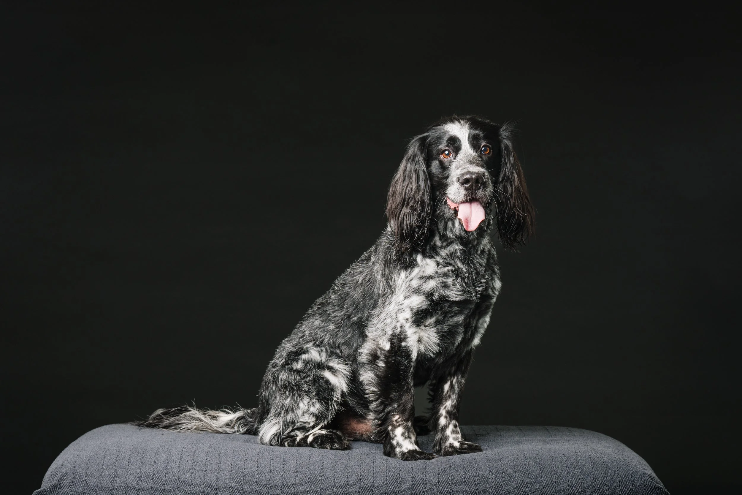 MHP_Hartley Jasper_02.jpg