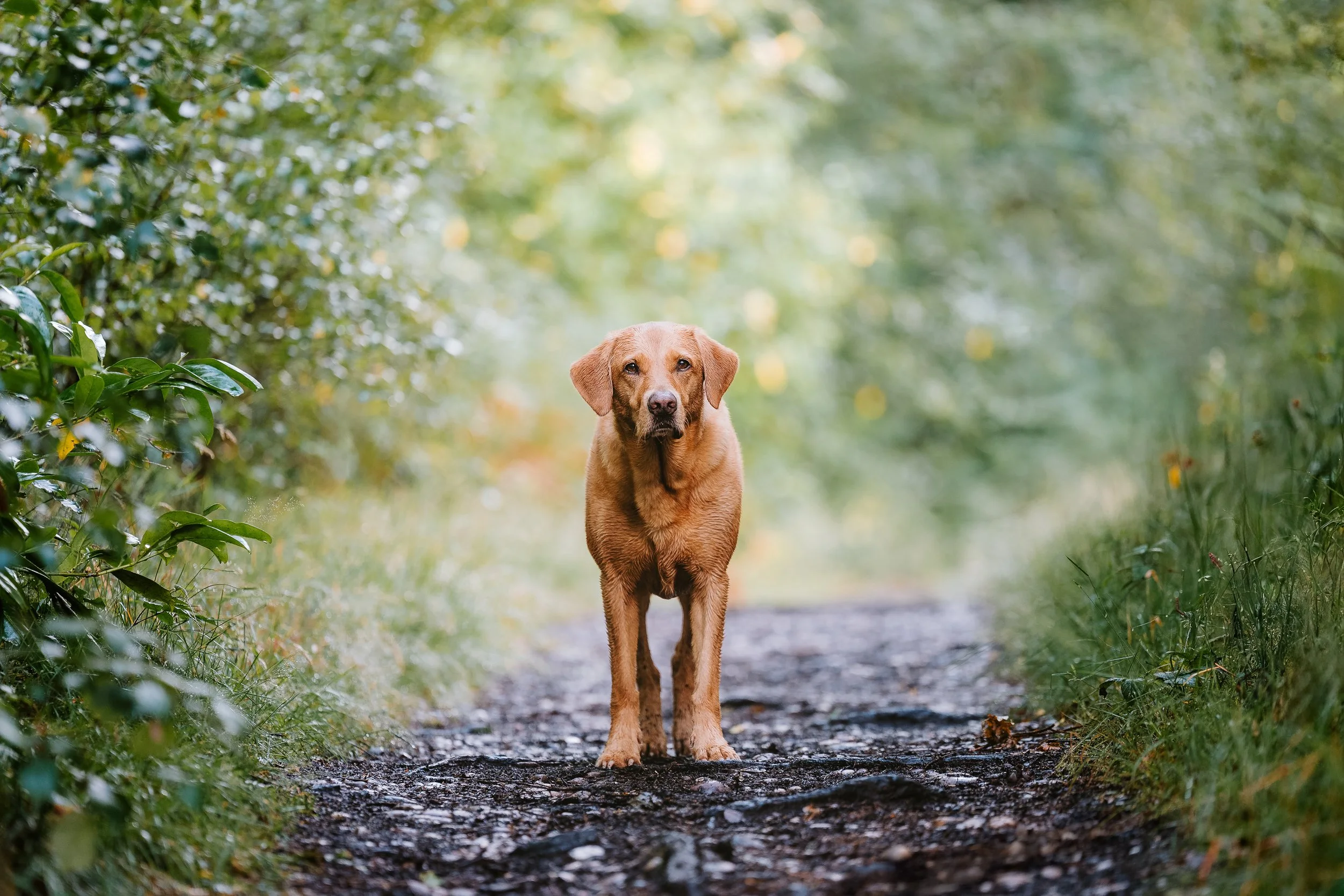250707_Studio Morning_172-Edit.jpg