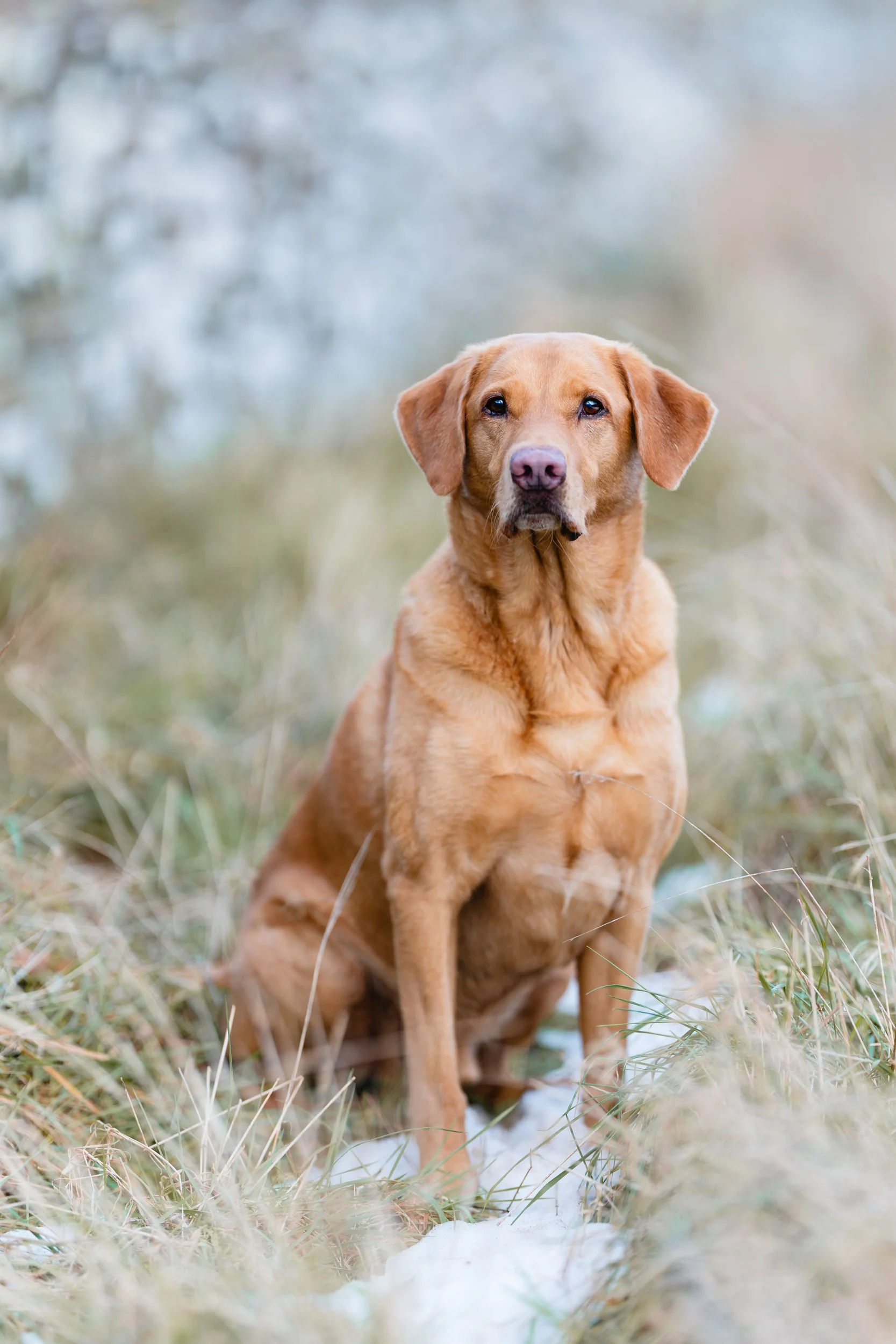 260218_Skedsbush otis_011-Edit.jpg