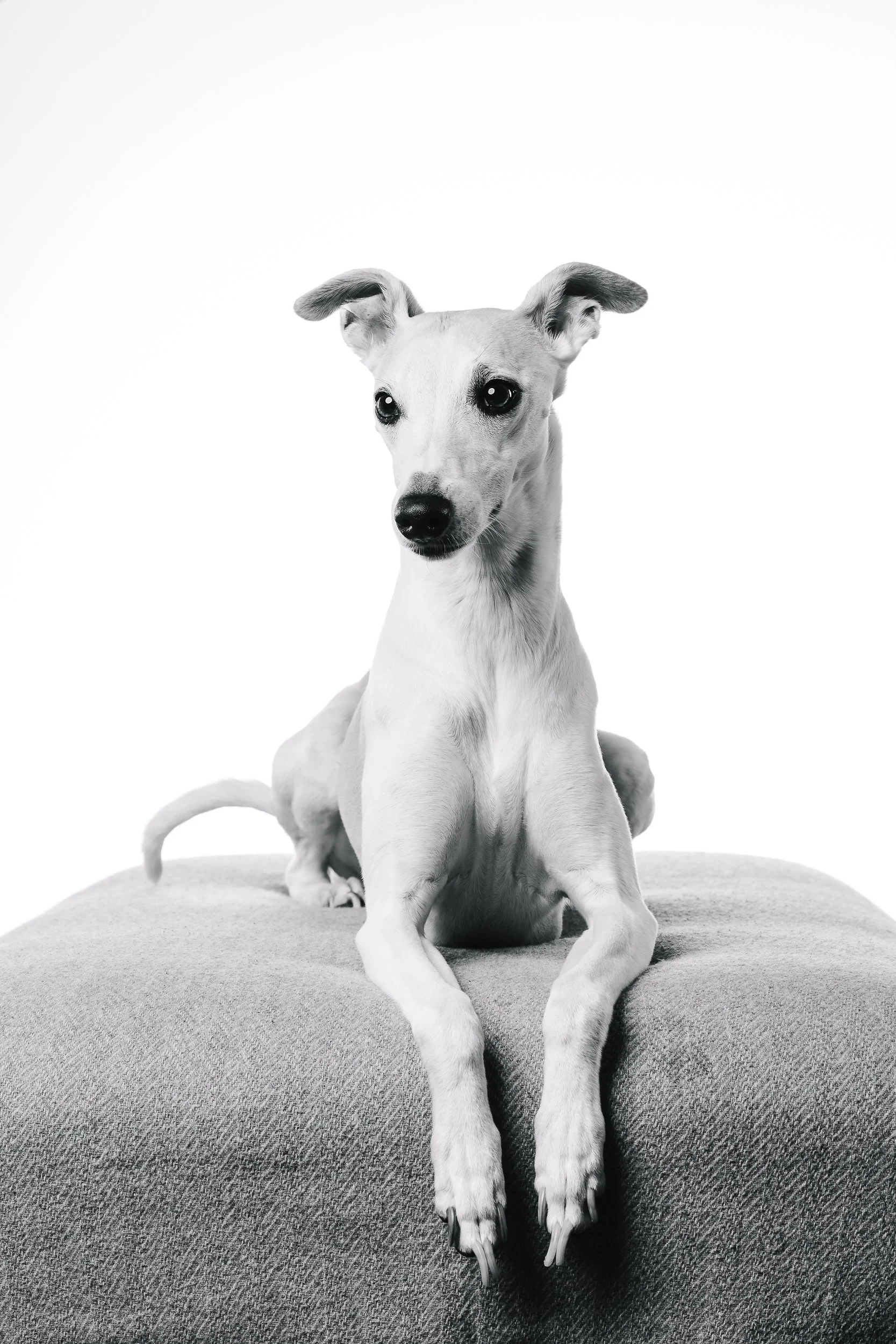 260125_Grace Amelie Raisin_022.jpg