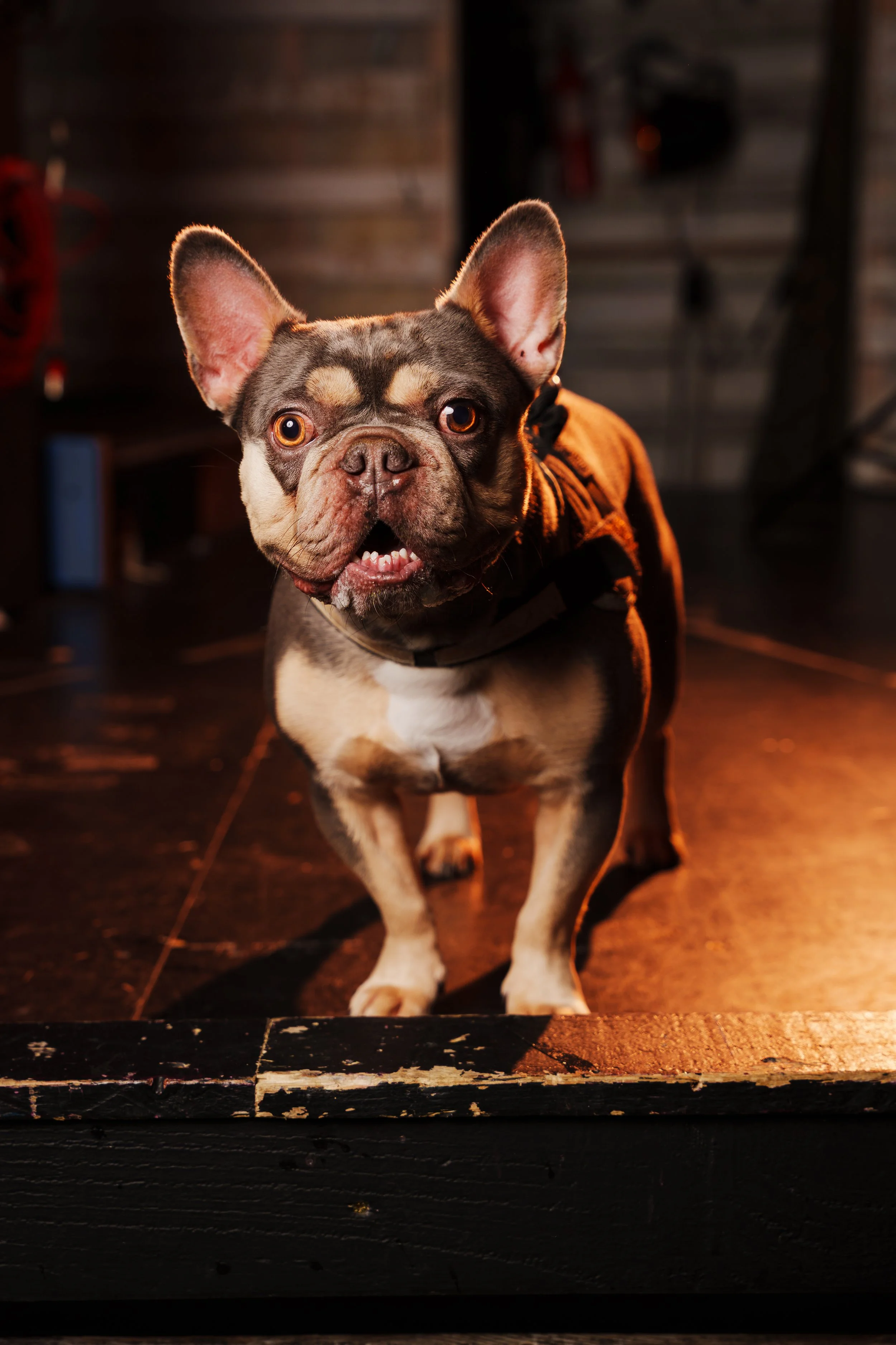 260101_Mark Holland Photography_442.jpg