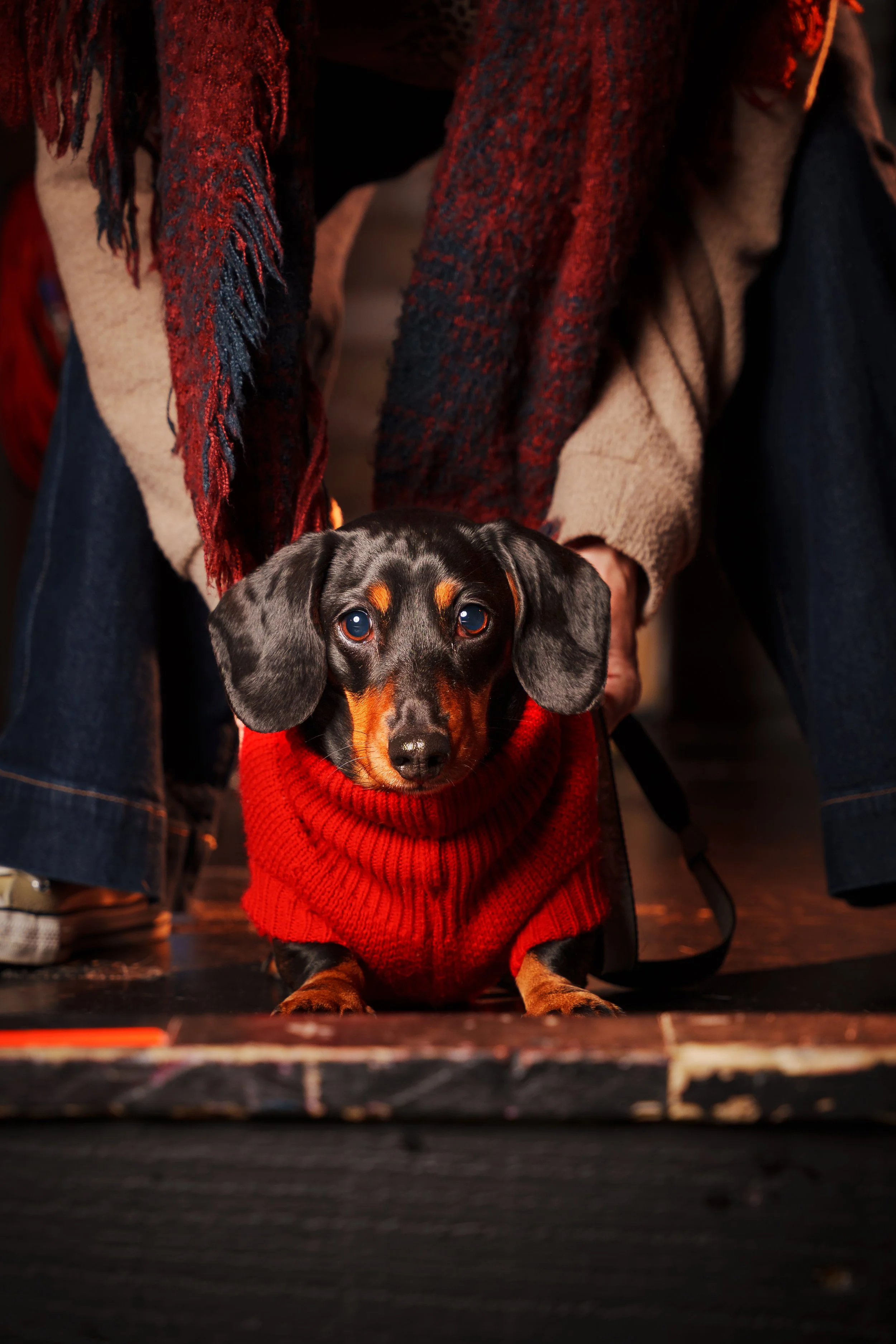 260101_Mark Holland Photography_482.jpg