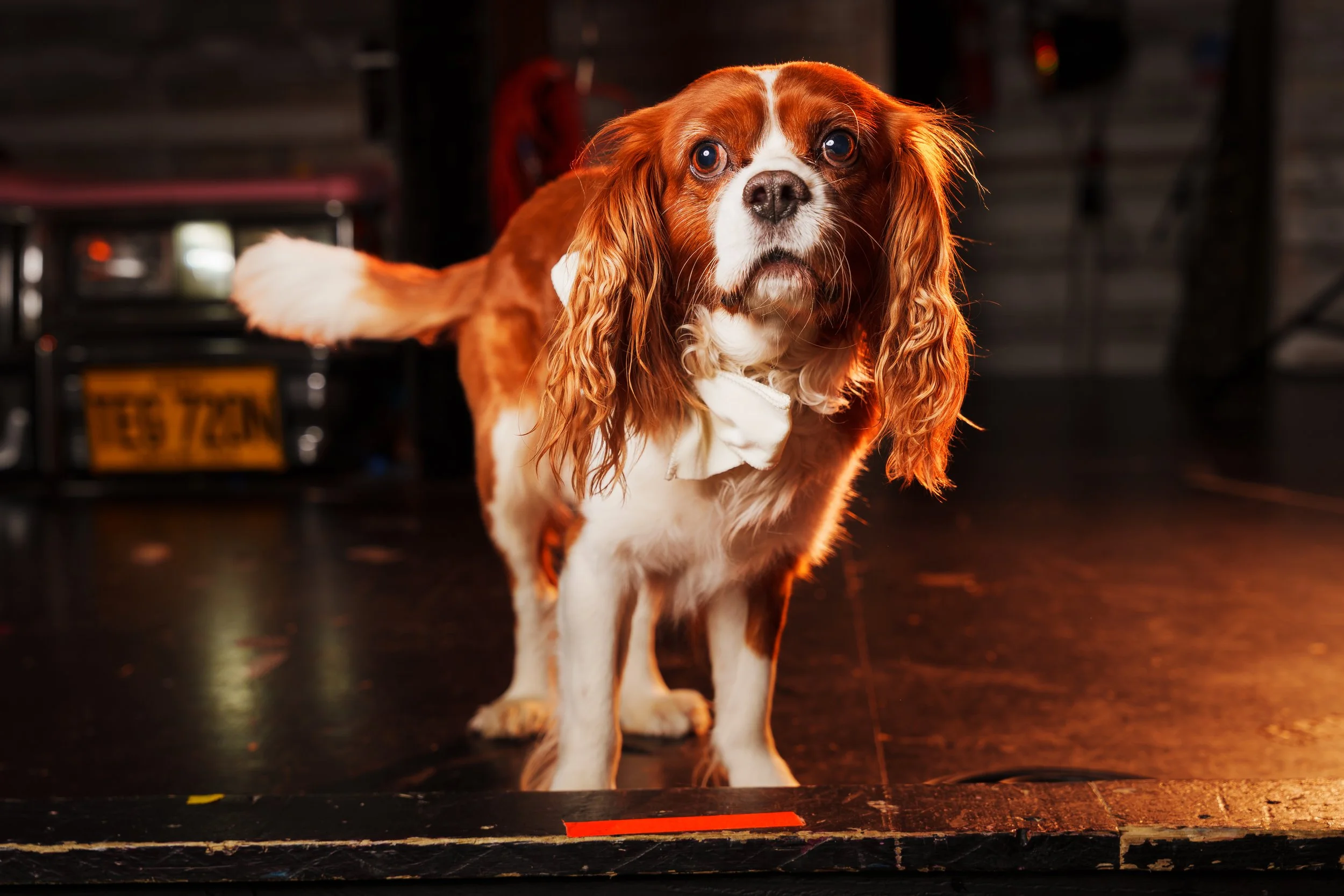 260101_Mark Holland Photography_351.jpg