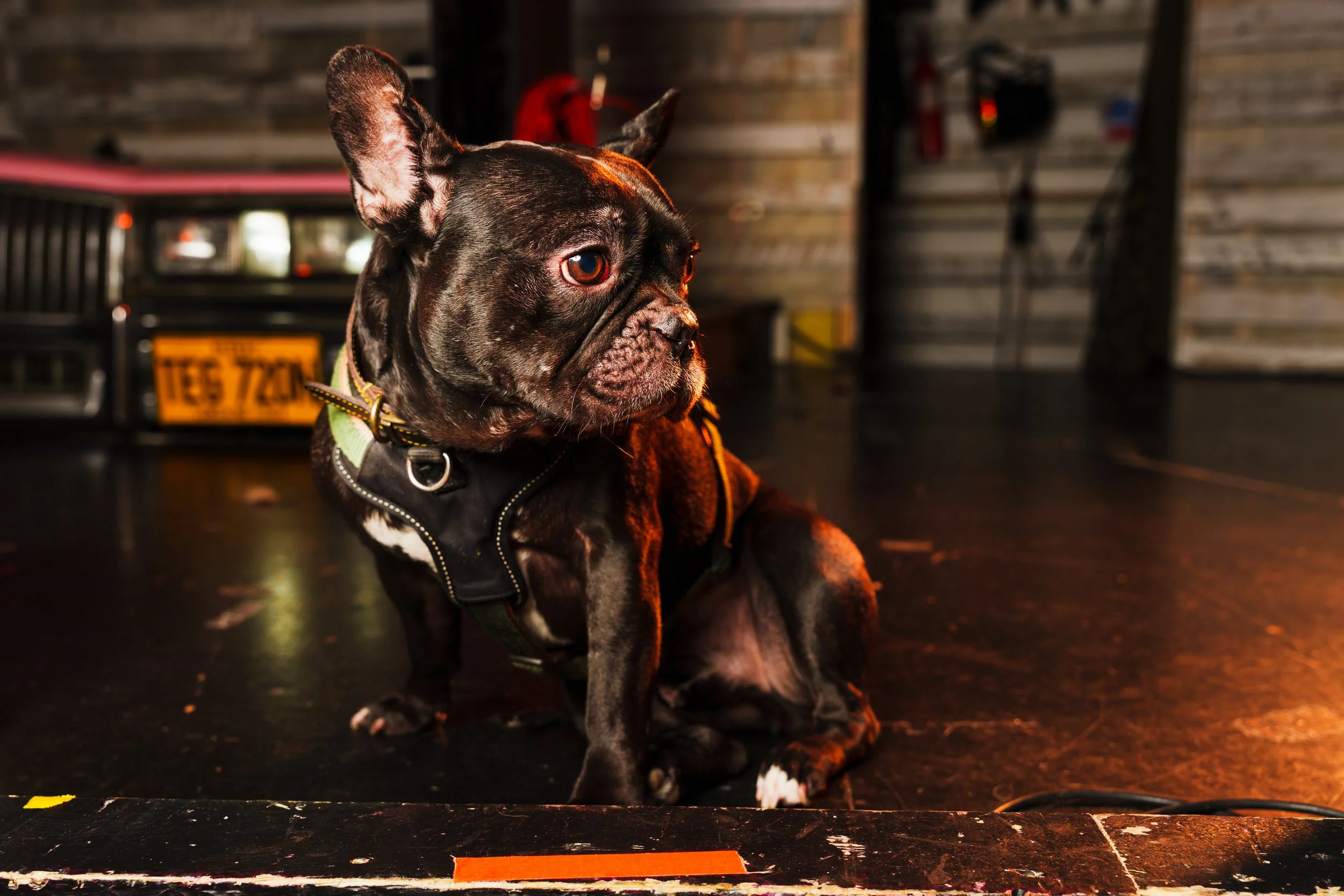 260101_Mark Holland Photography_176.jpg