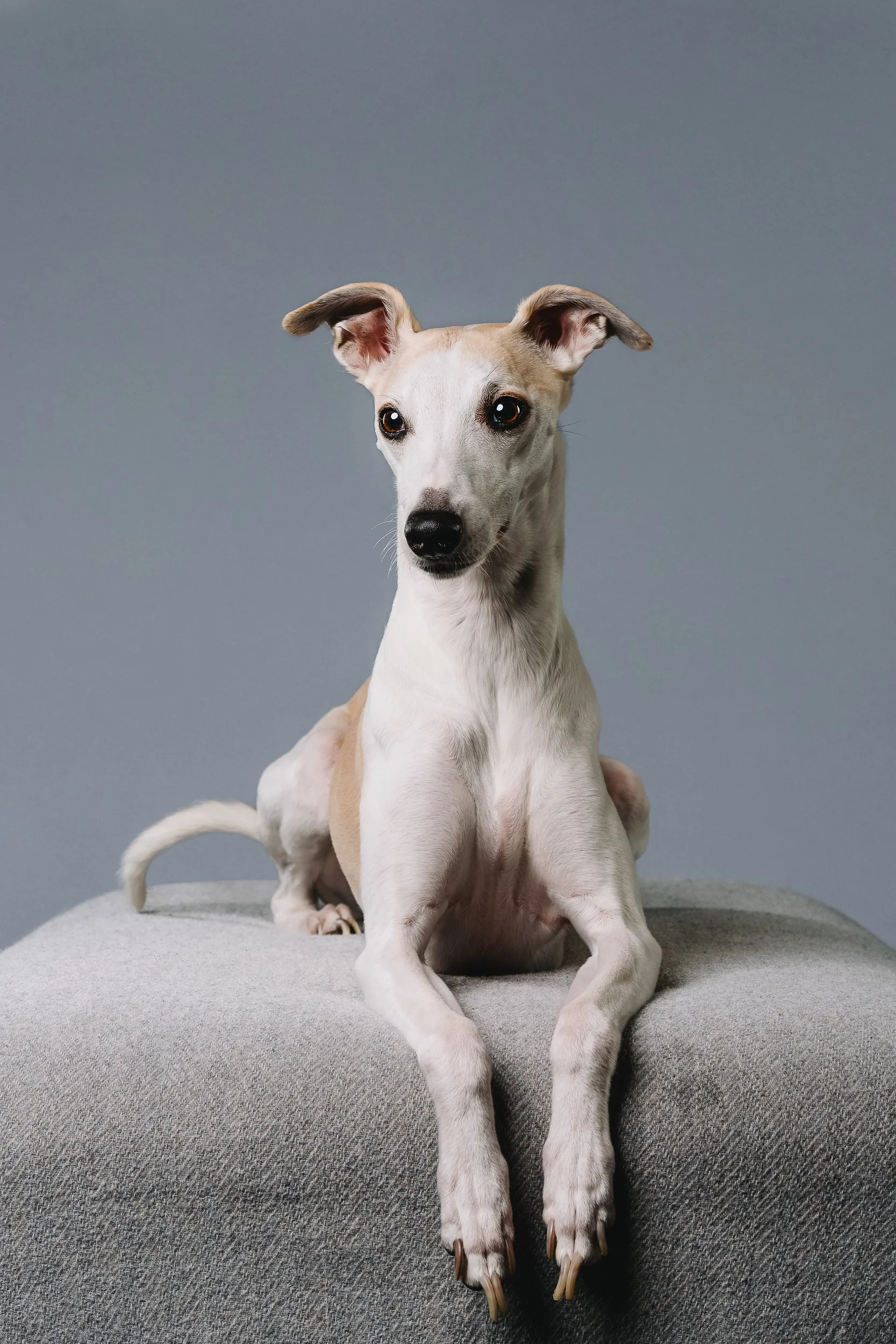 260125_Grace Amelie Raisin_025.jpg