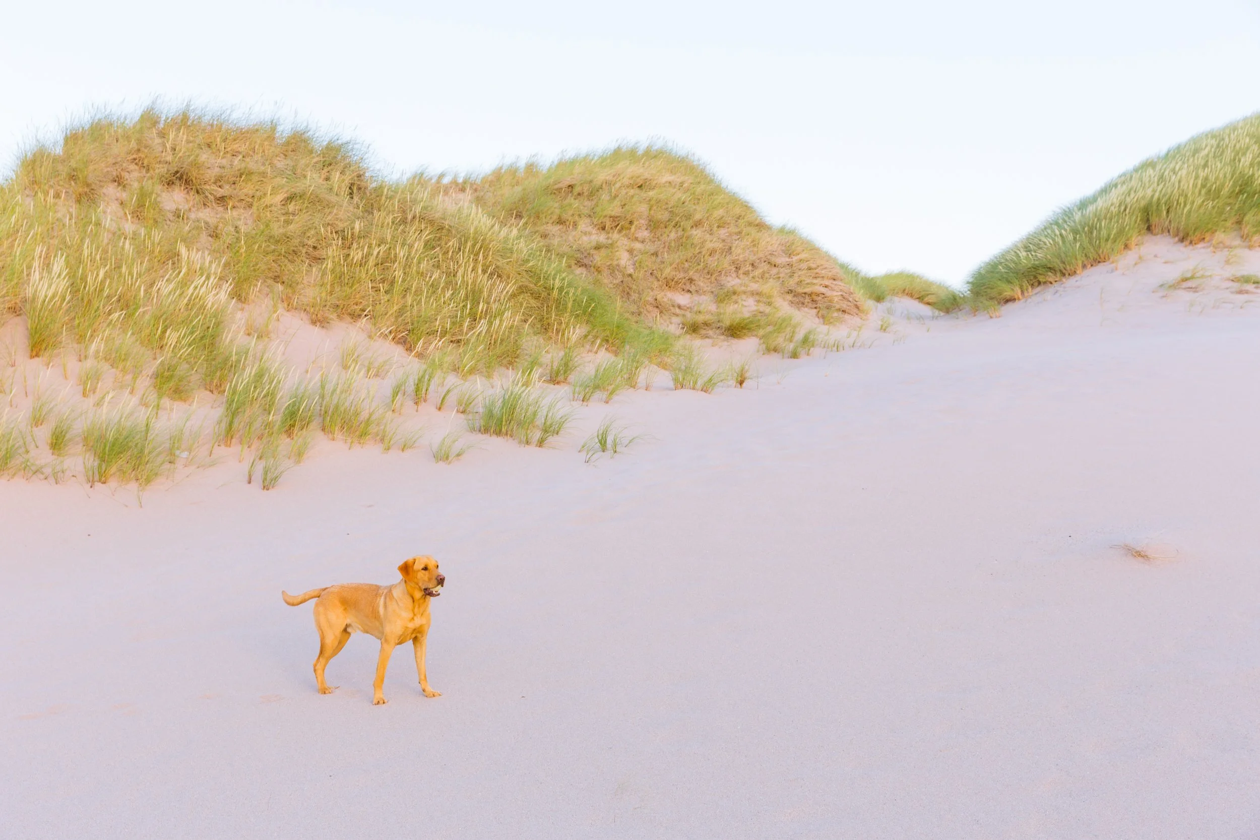 180726_Sandwood 5D_071.jpg