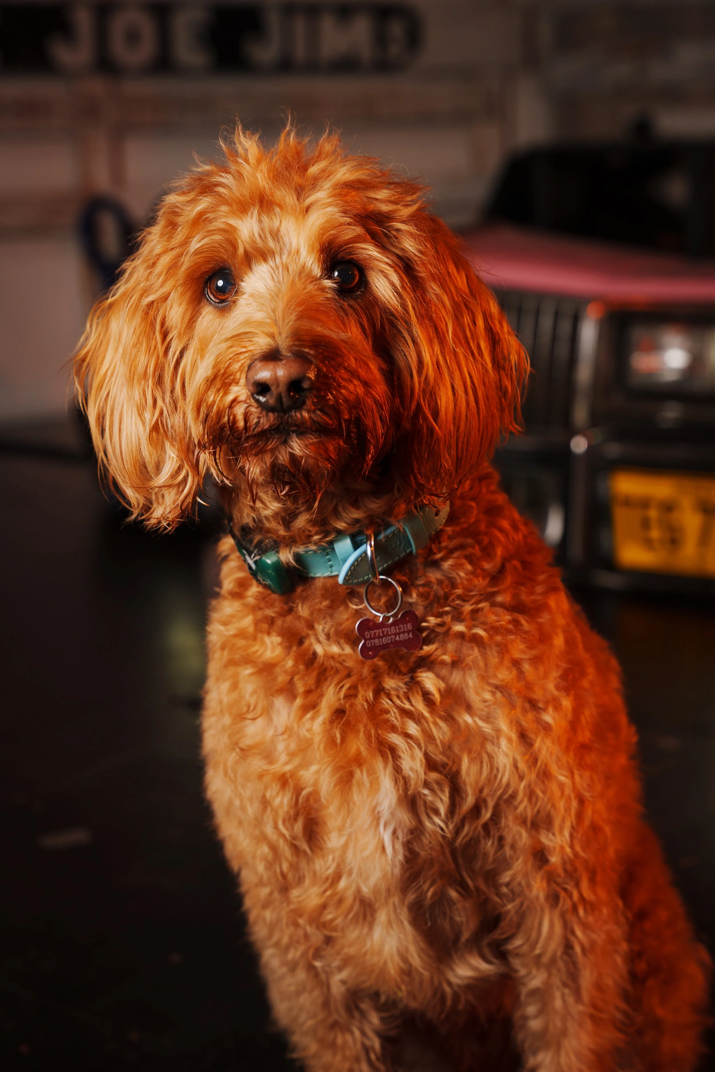 260101_Mark Holland Photography_017.jpg