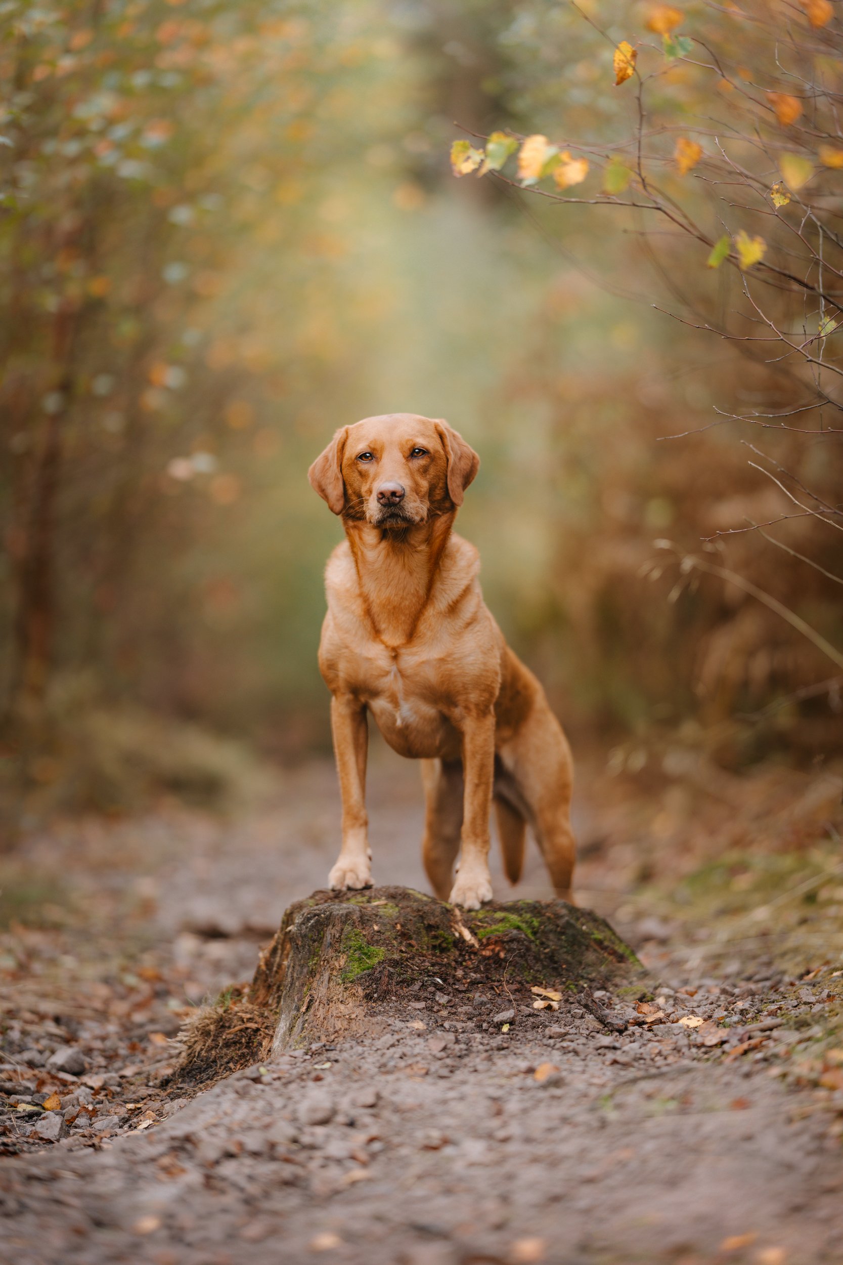 261011_Sun Am Lickeys_354-Edit.jpg