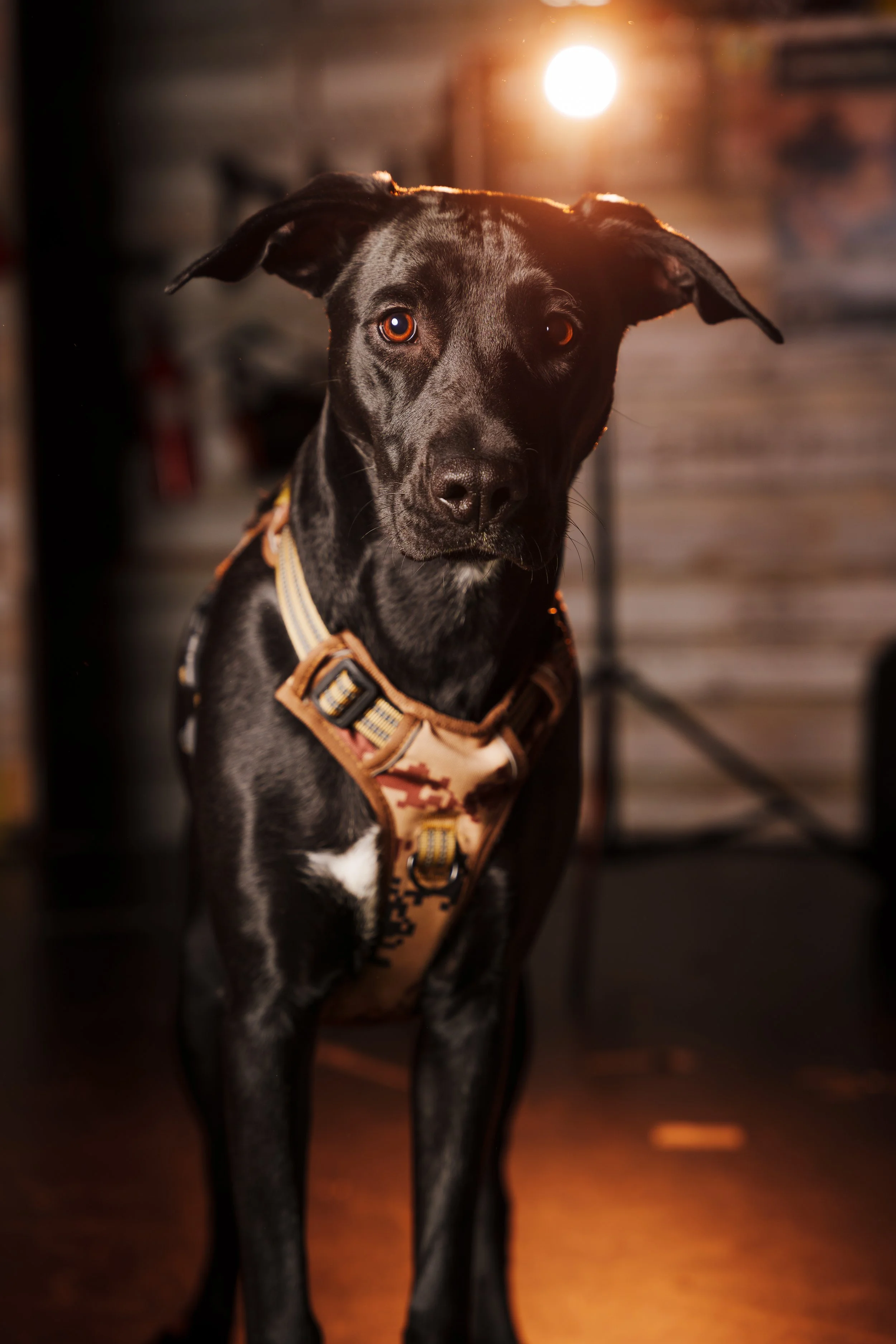 260101_Mark Holland Photography_286.jpg