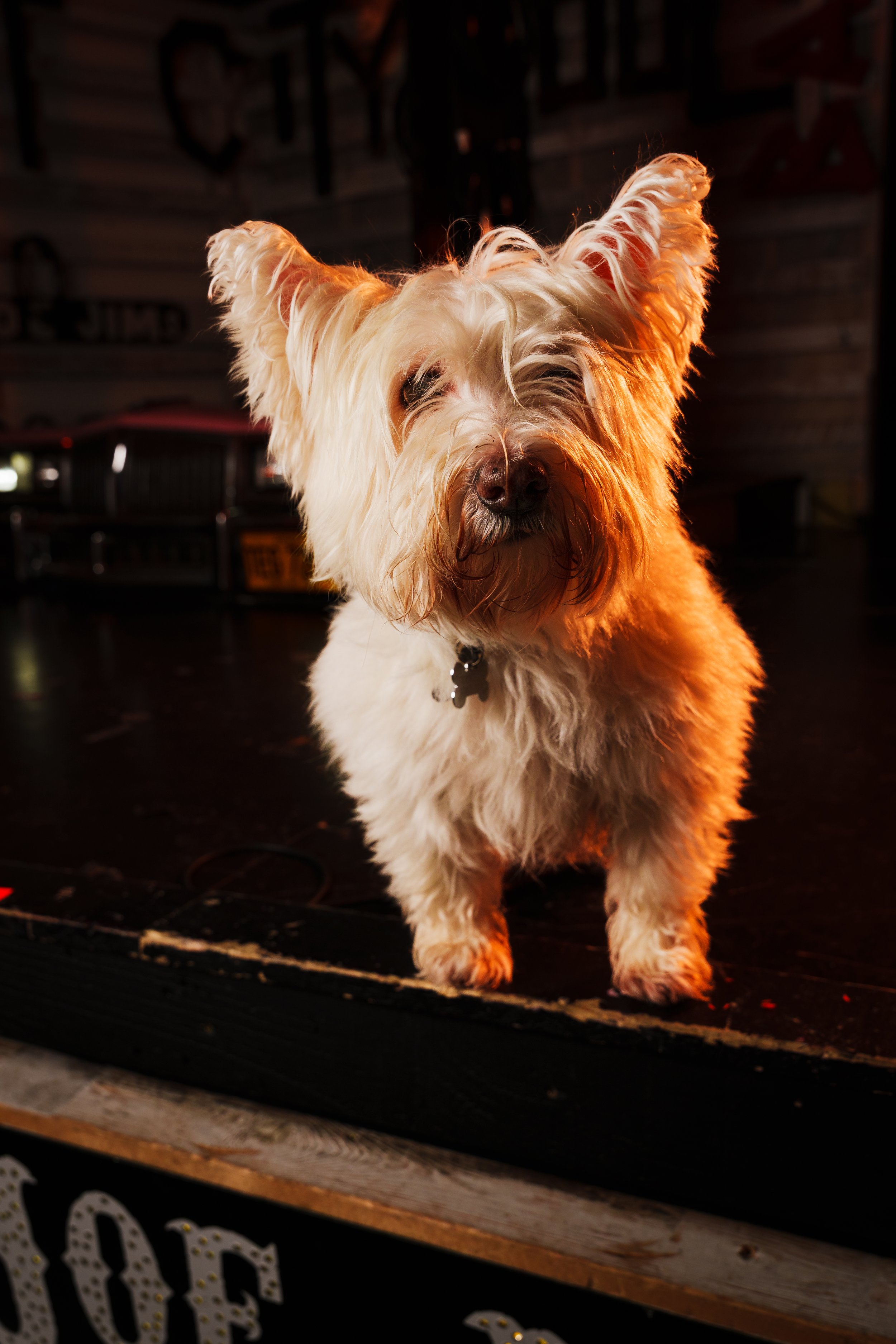 260101_Mark Holland Photography_057.jpg