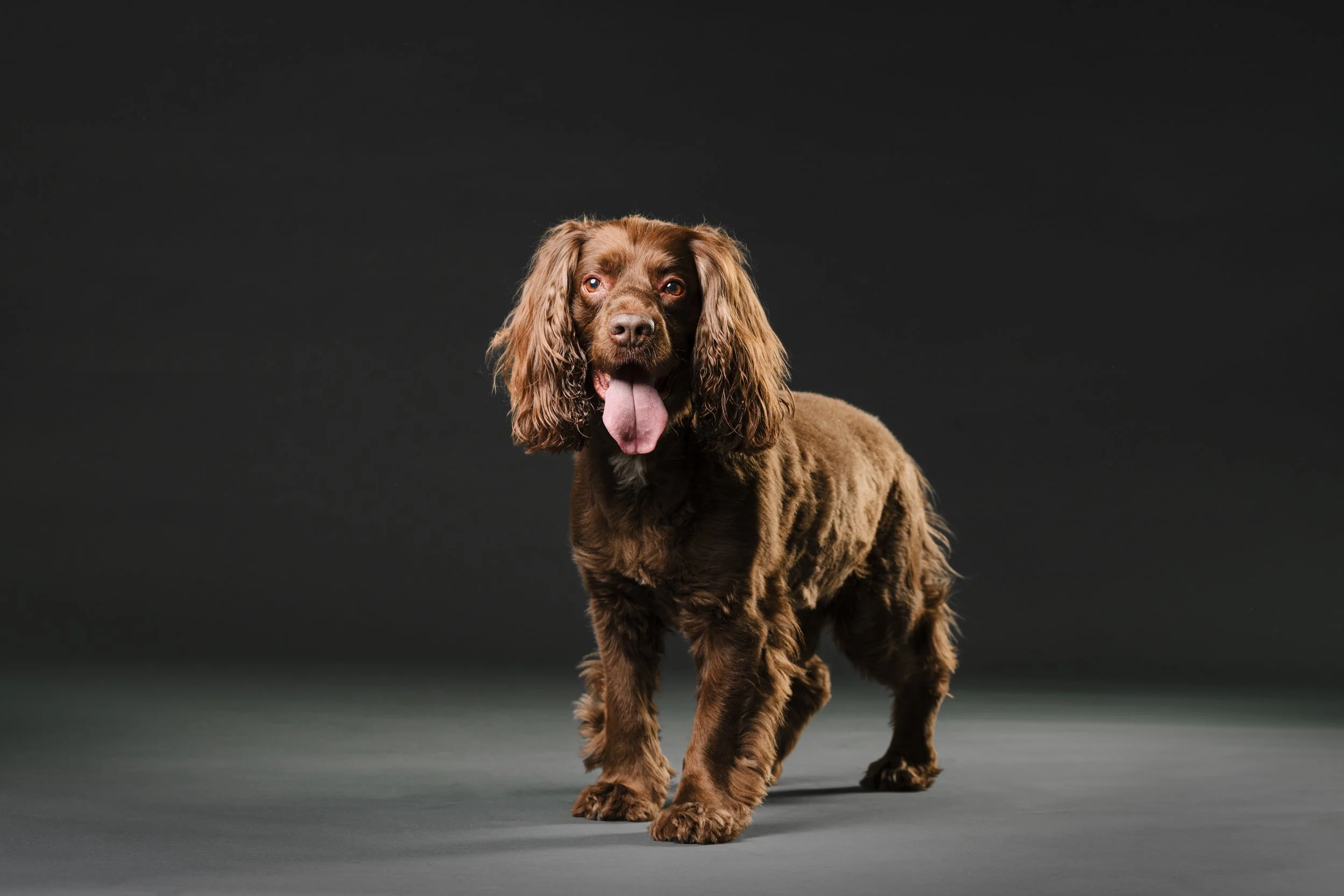 MHP_Hartley Jasper_06.jpg
